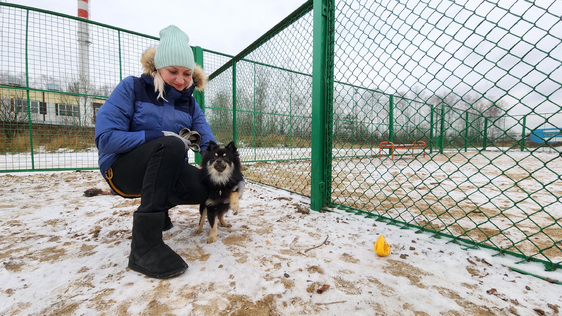 собаководы, площадка для выгула собак, Лосино-Петровский,