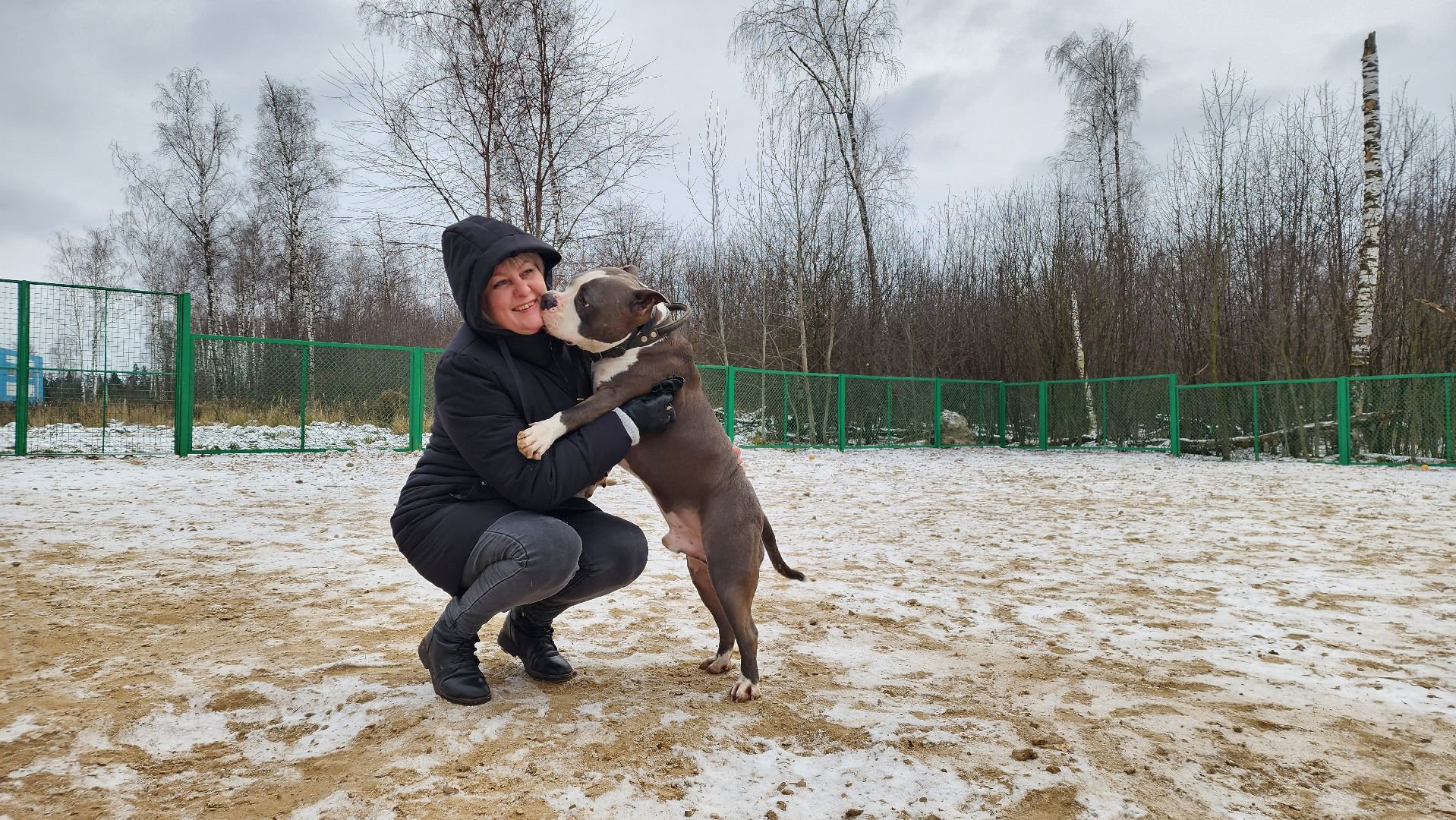 собаководы, площадка для выгула собак, Лосино-Петровский,