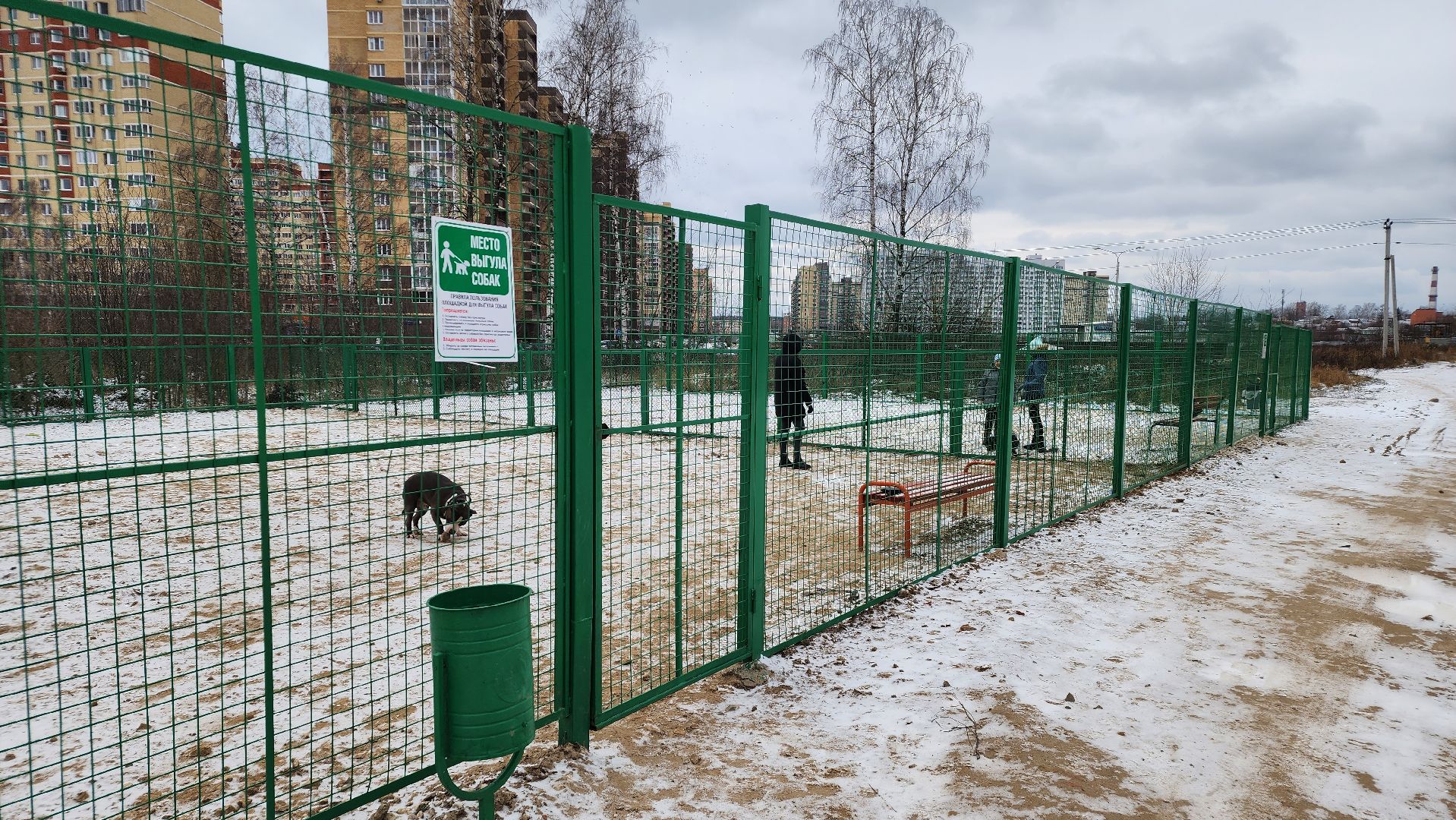 собаководы, площадка для выгула собак, Лосино-Петровский,
