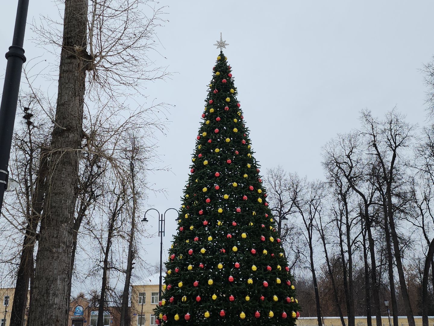 коломна, культура, новый год,