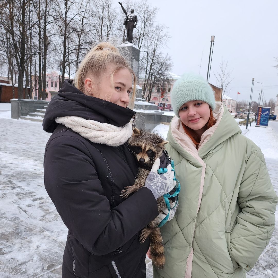 Егорьевск, Енот, Подмосковье, Московская область,