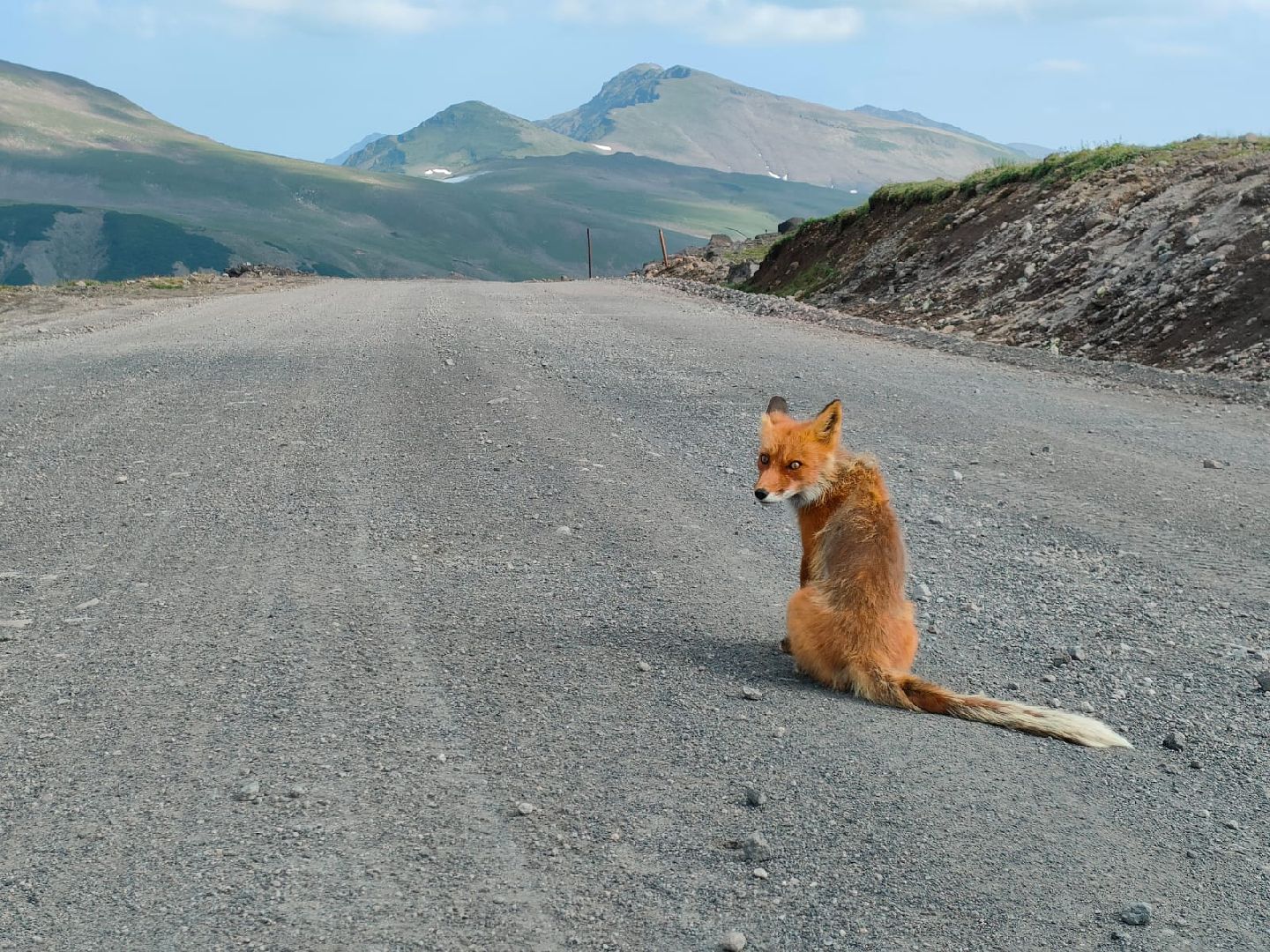 фотовыставка,туризм,