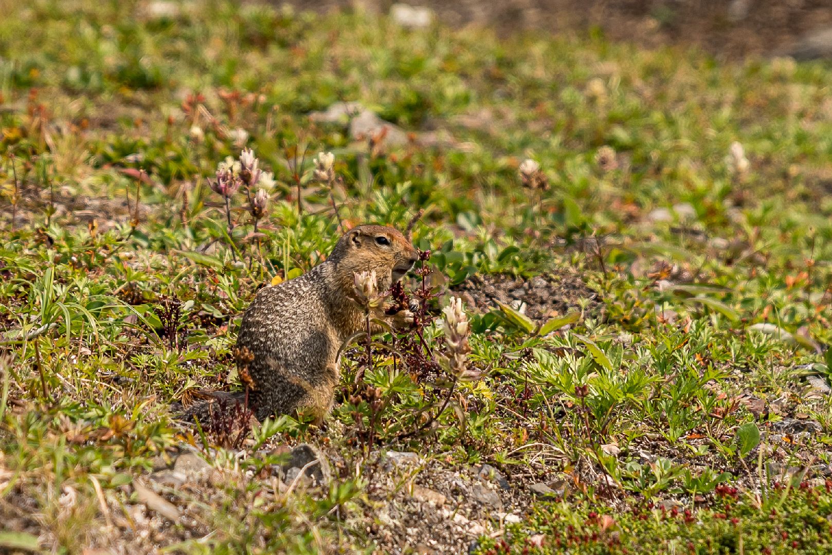 фотовыставка,туризм,