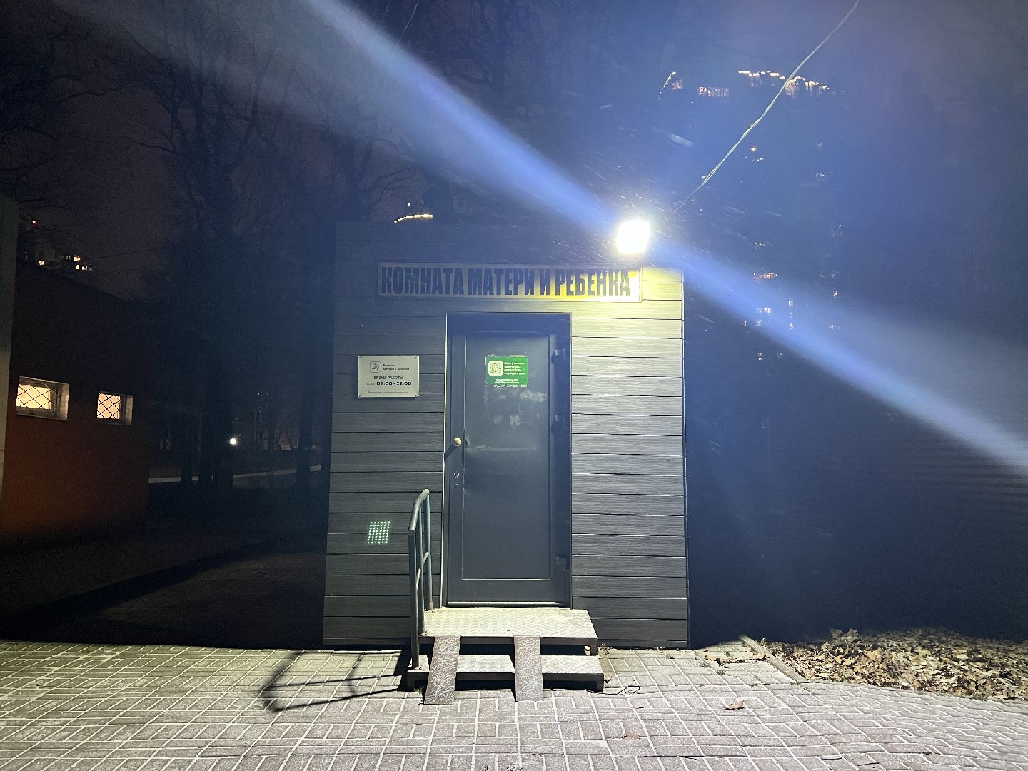 химки, парк, благоустройство, парк Толстого, освещение,