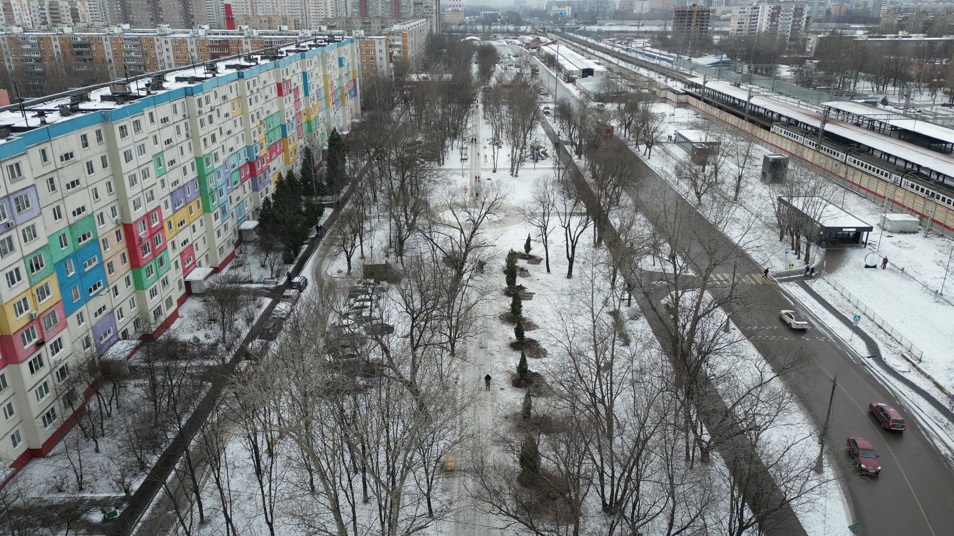 Реутов, благоустройство, деревья, сосны, посадка, зима,