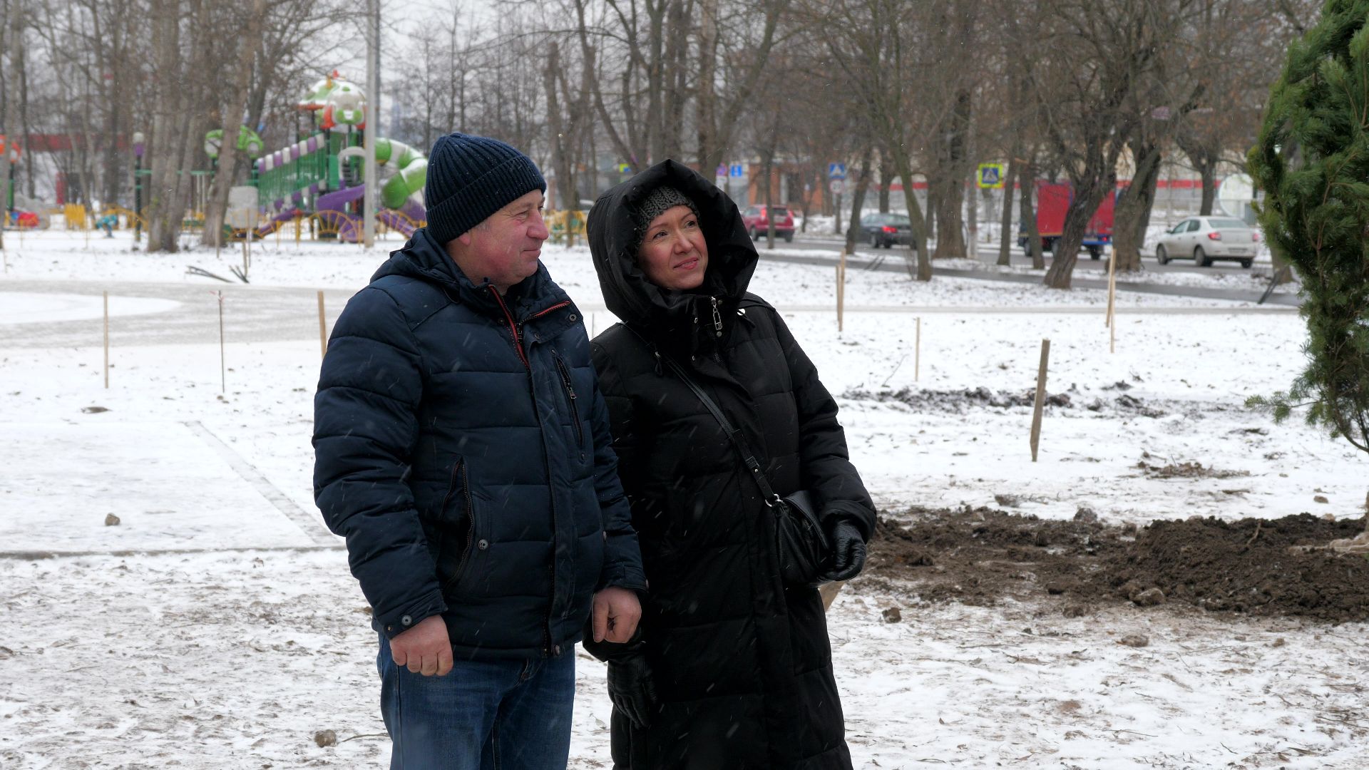 Реутов, благоустройство, деревья, сосны, посадка, зима,