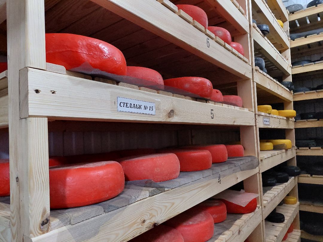 Воскресенск, волонтеры