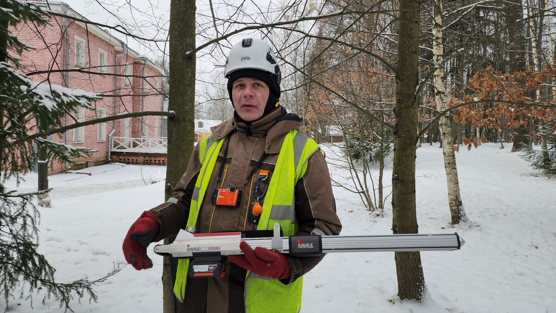 Пушкино, Мураново, экология, фестиваль арбористов, арбористика, Деревья, Попилка,