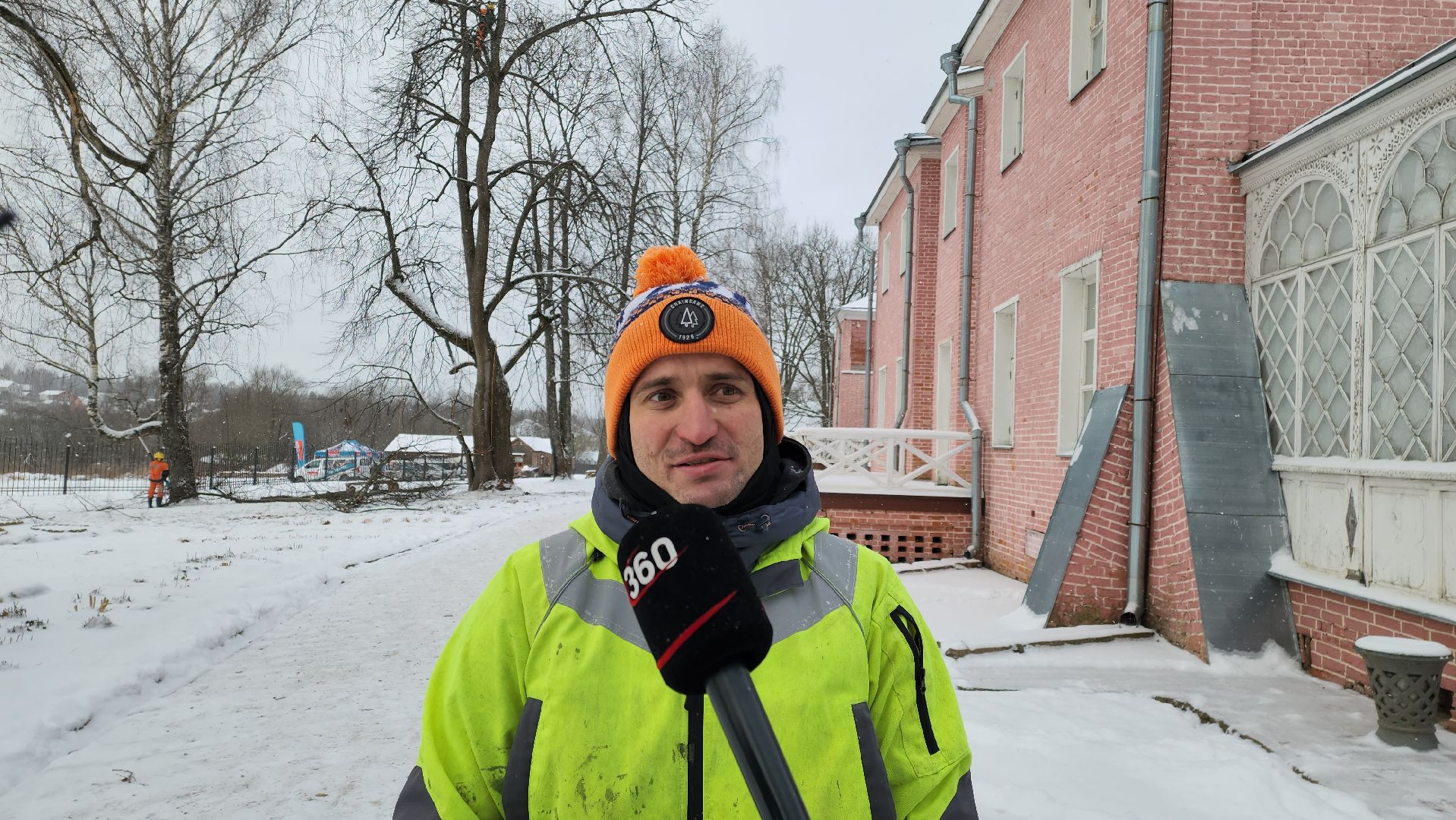 Пушкино, Мураново, экология, фестиваль арбористов, арбористика, Деревья, Попилка,