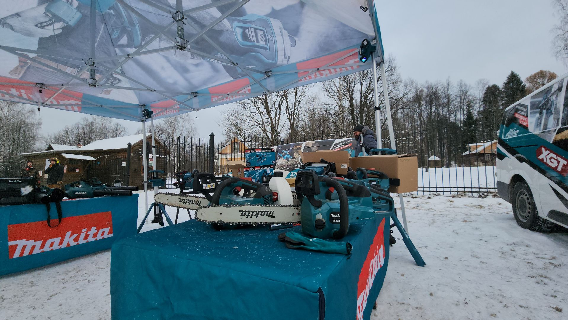 Пушкино, Мураново, экология, фестиваль арбористов, арбористика, Деревья, Попилка,