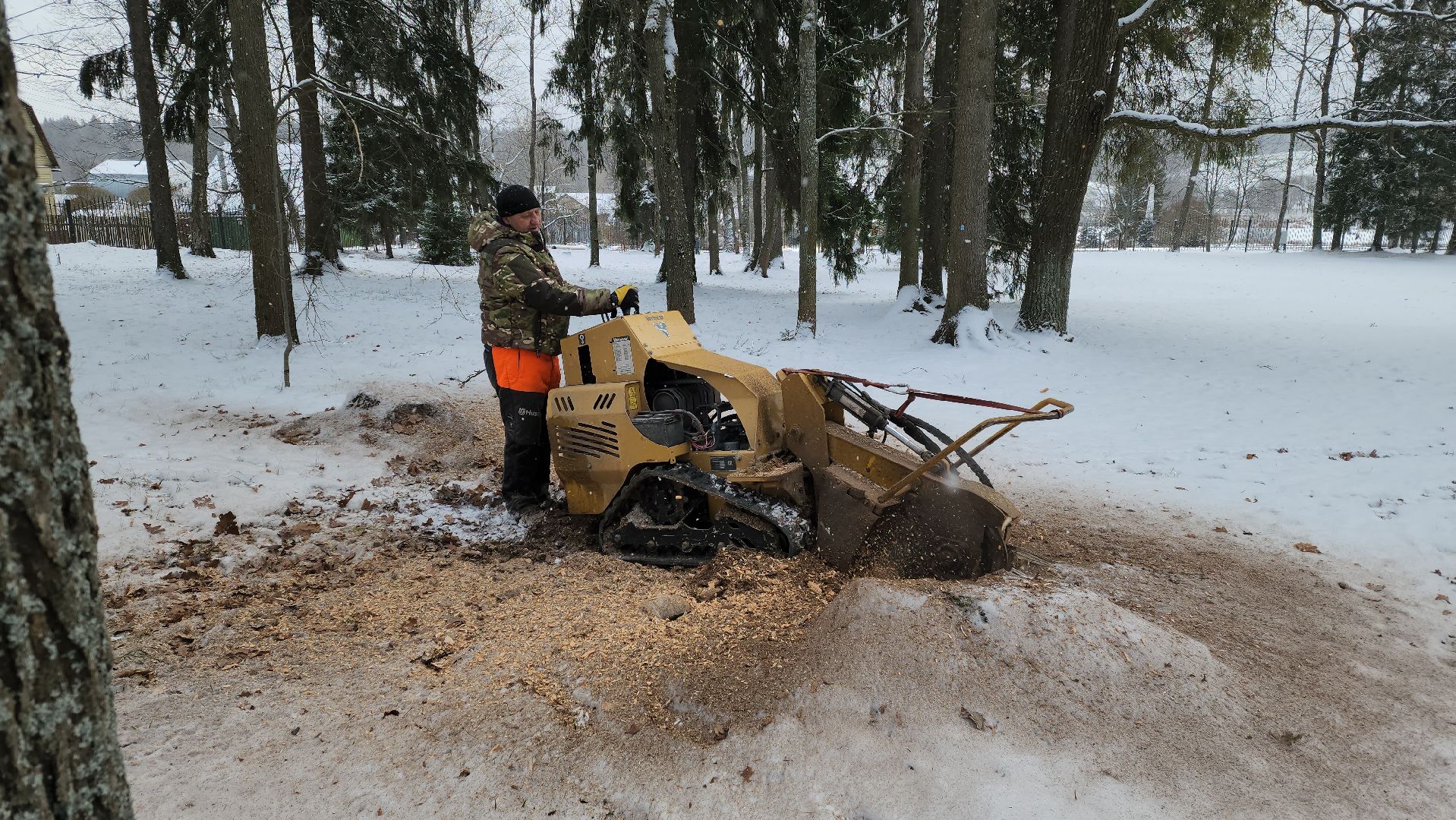 Пушкино, Мураново, экология, фестиваль арбористов, арбористика, Деревья, Попилка,