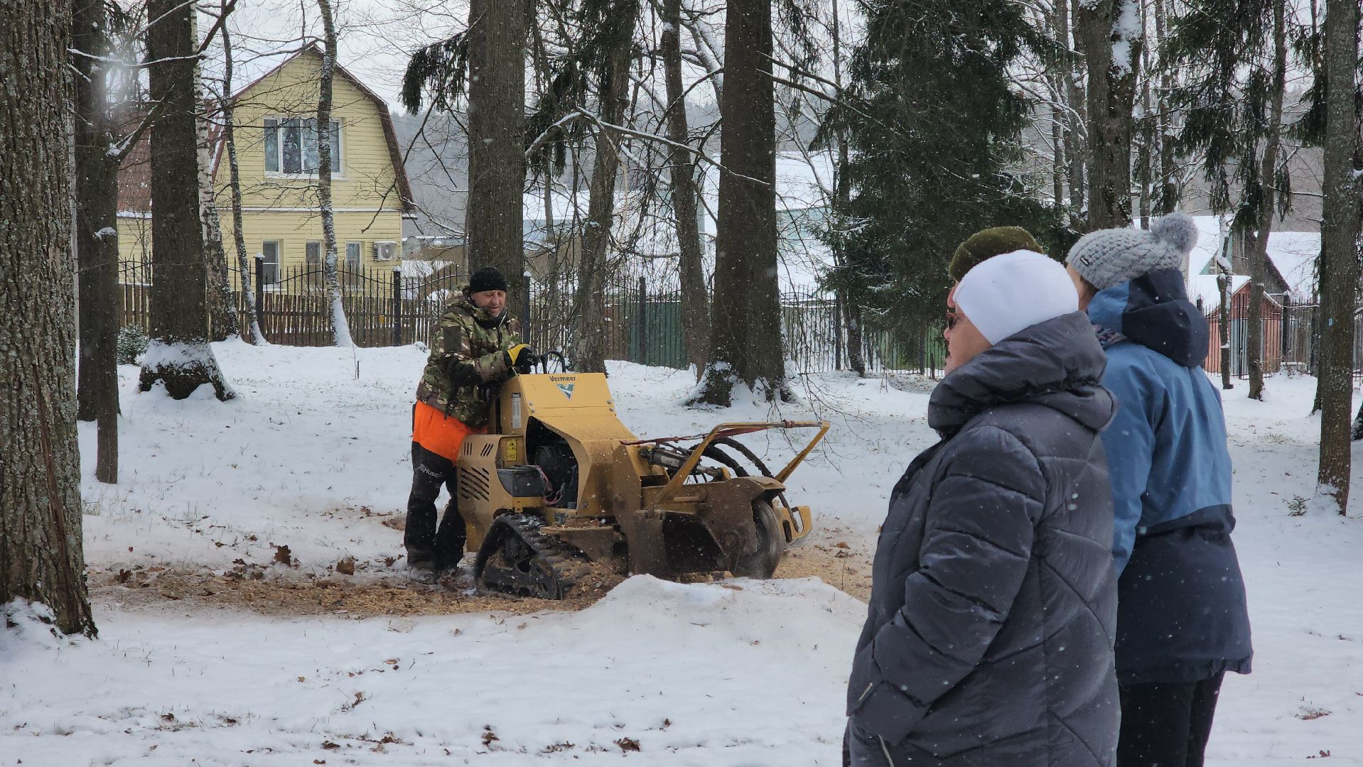 Пушкино, Мураново, экология, фестиваль арбористов, арбористика, Деревья, Попилка,