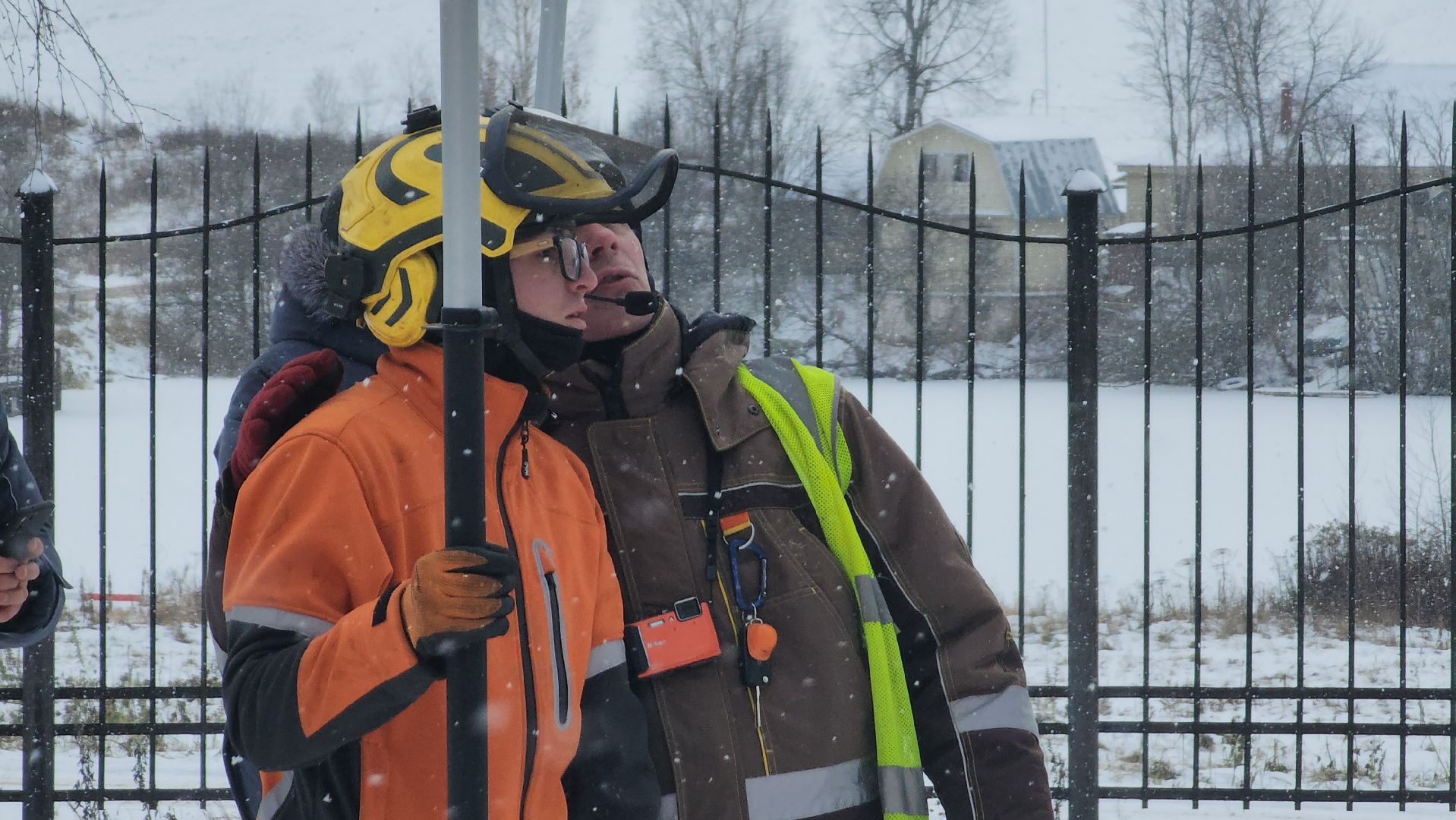 Пушкино, Мураново, экология, фестиваль арбористов, арбористика, Деревья, Попилка,