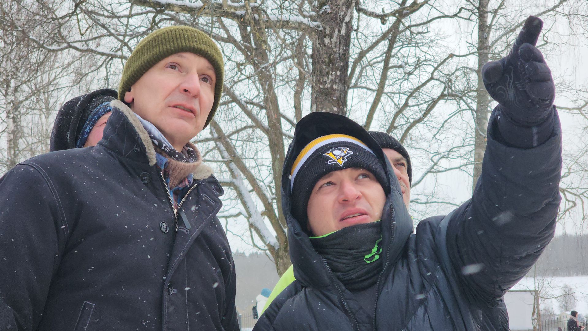 Пушкино, Мураново, экология, фестиваль арбористов, арбористика, Деревья, Попилка,