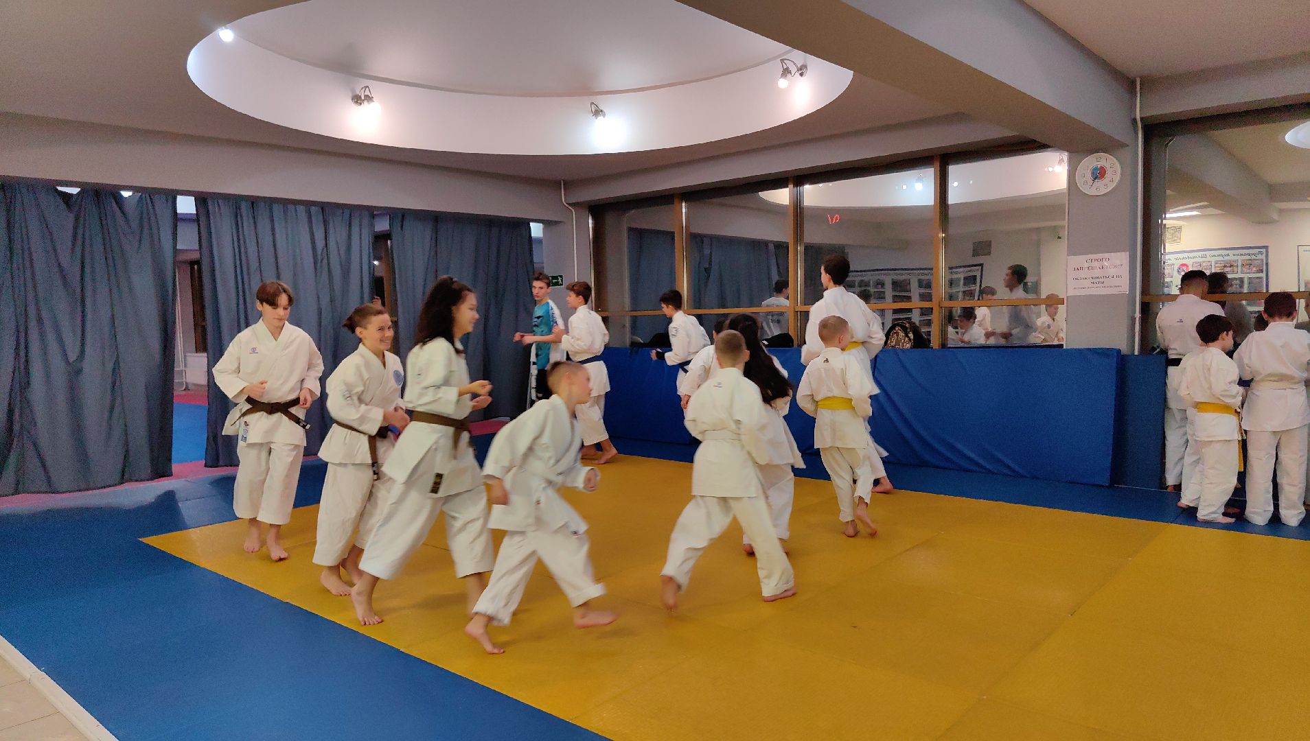 карате, Первенство мира, тренировки, черный пояс, мастер спорта,