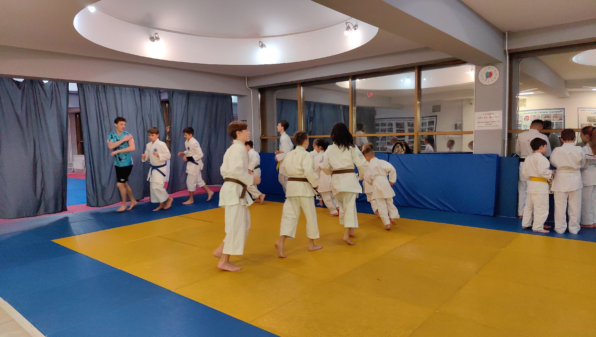 карате, Первенство мира, тренировки, черный пояс, мастер спорта,