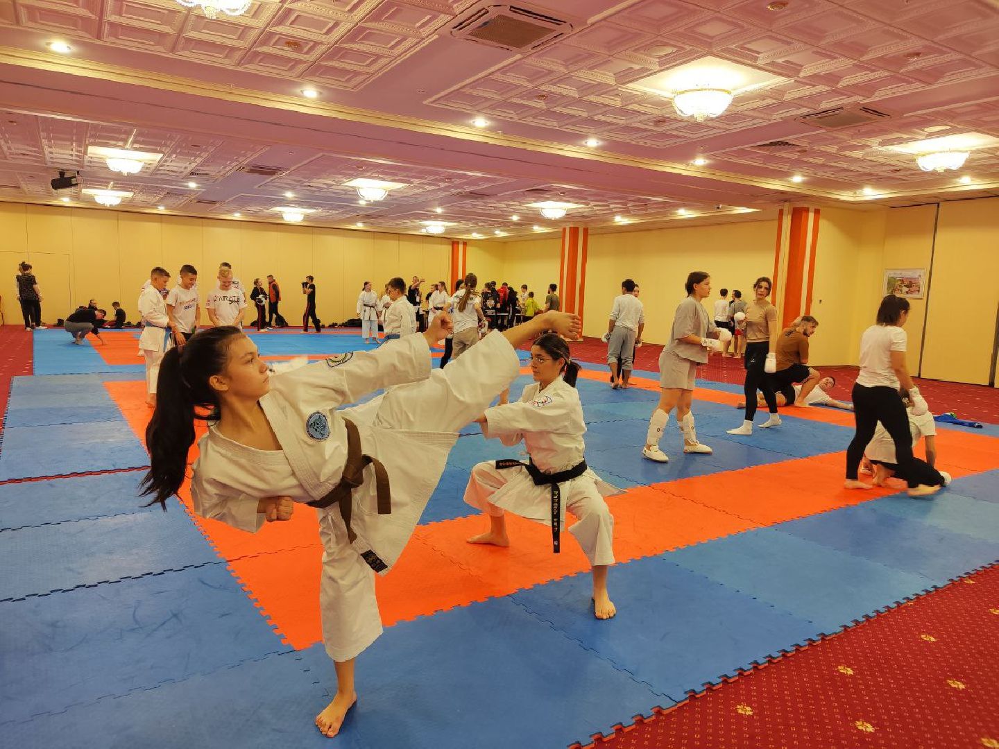 карате, Первенство мира, тренировки, черный пояс, мастер спорта,