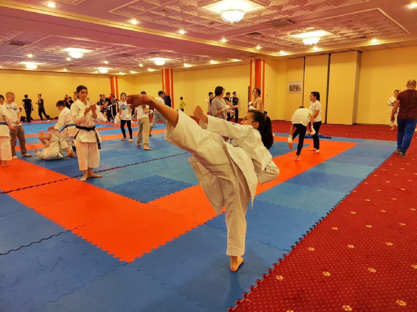 карате, Первенство мира, тренировки, черный пояс, мастер спорта,