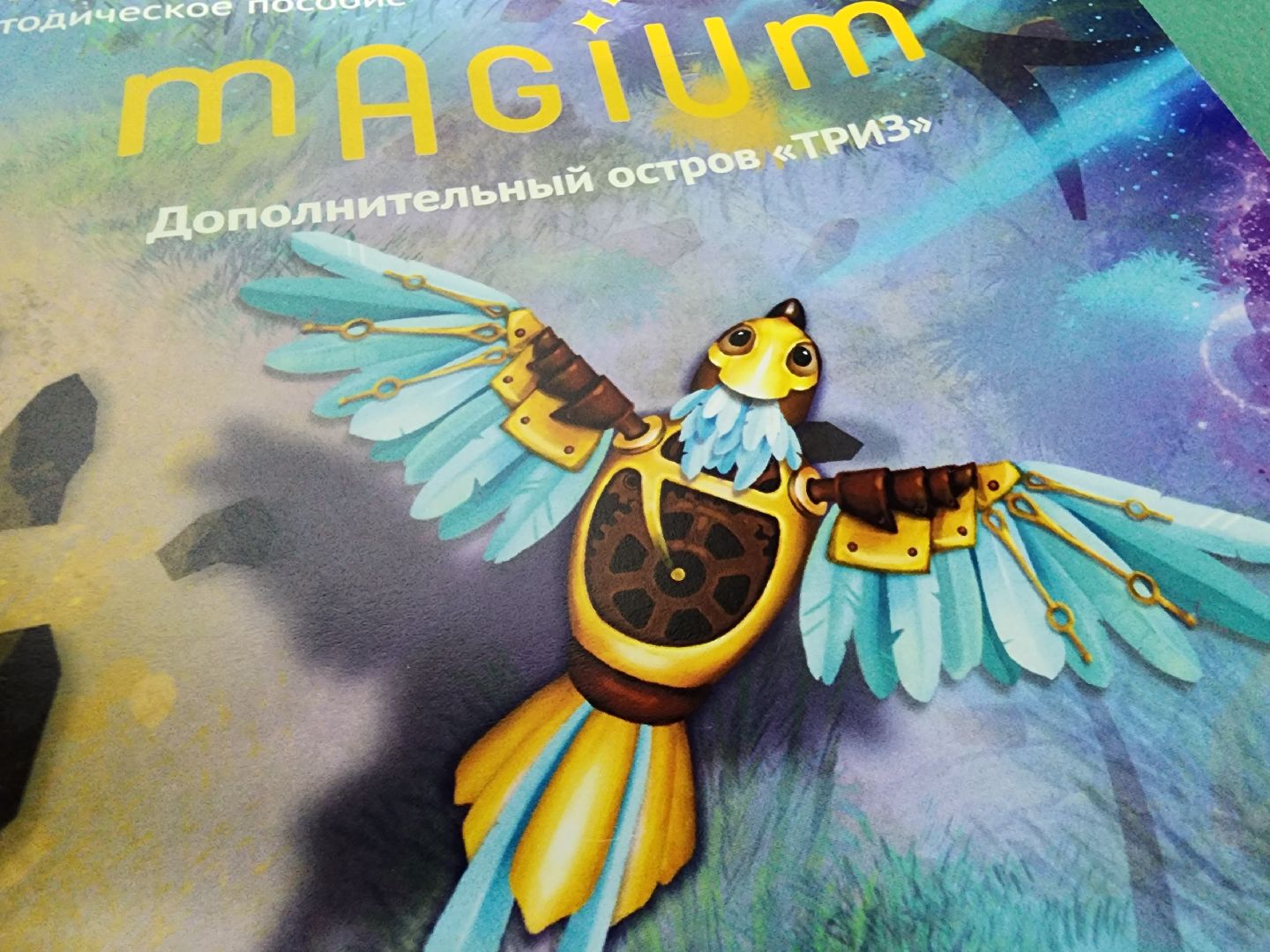 воскресенск, экономика, мой бизнес, предпринимательство, дети, реабилитация,