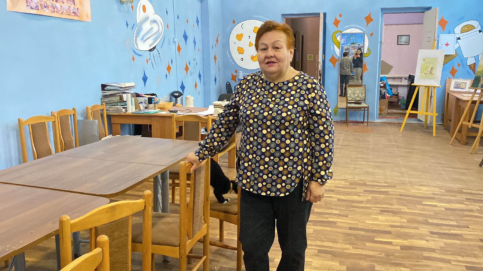 волоколамск, дом культуры, кошки, волонтер, доброе дело, дк, спасение животных, кошка,культура, культура подмосковья,