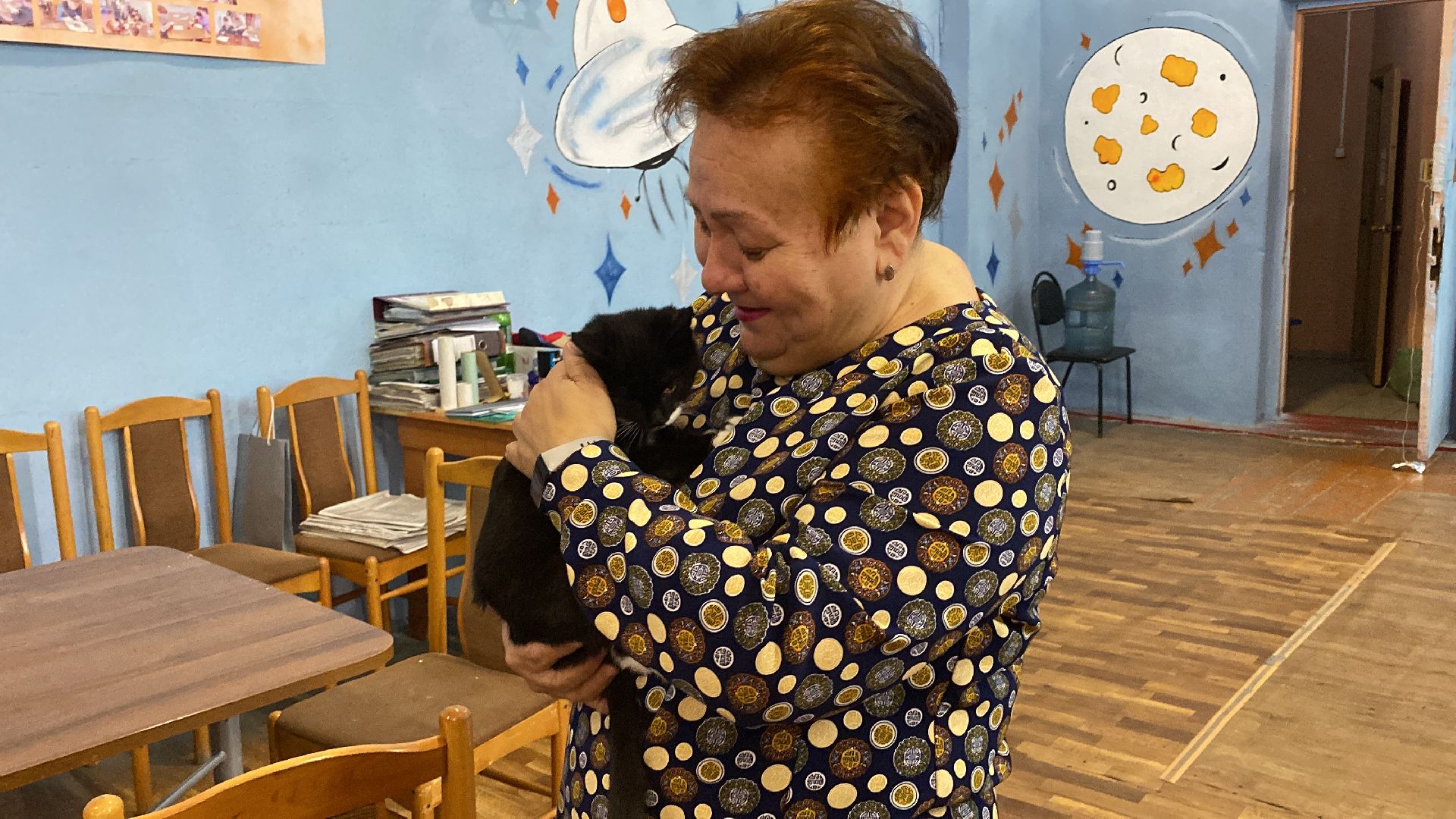 волоколамск, дом культуры, кошки, волонтер, доброе дело, дк, спасение животных, кошка,культура, культура подмосковья,