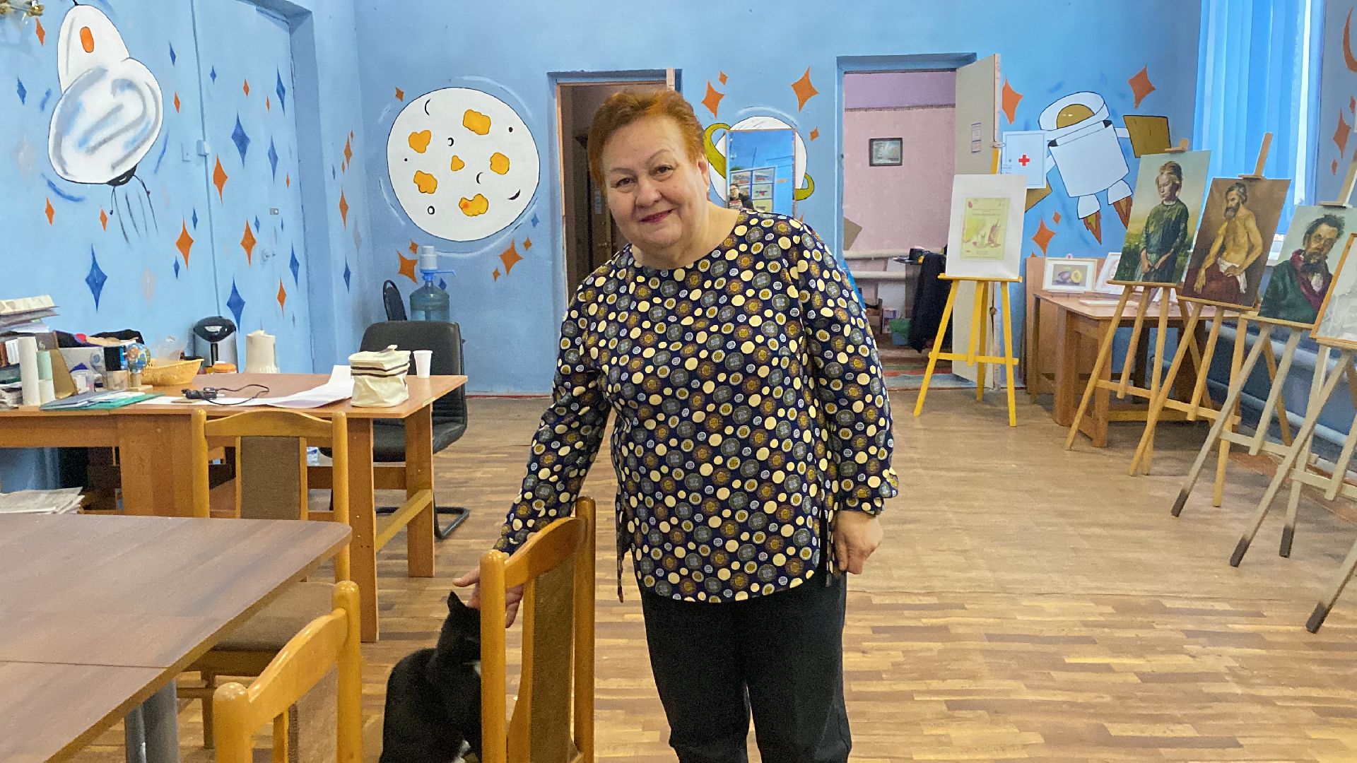 волоколамск, дом культуры, кошки, волонтер, доброе дело, дк, спасение животных, кошка,культура, культура подмосковья,