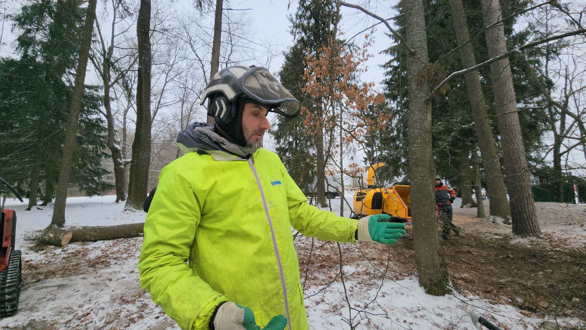 Арбористика, фестиваль арбористики, Пушкино, Городской округ Пушкинский, щёлково, экология, природа, Мураново, усадьба Мураново,