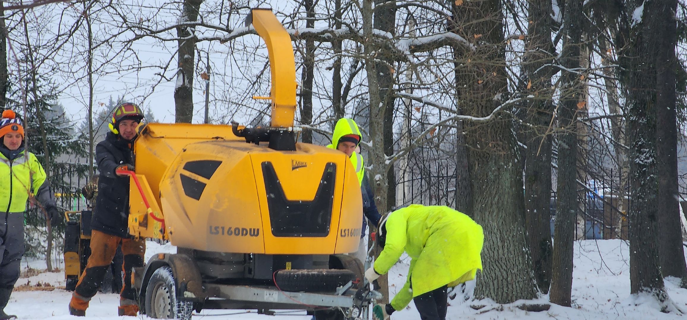 Арбористика, фестиваль арбористики, Пушкино, Городской округ Пушкинский, щёлково, экология, природа, Мураново, усадьба Мураново,