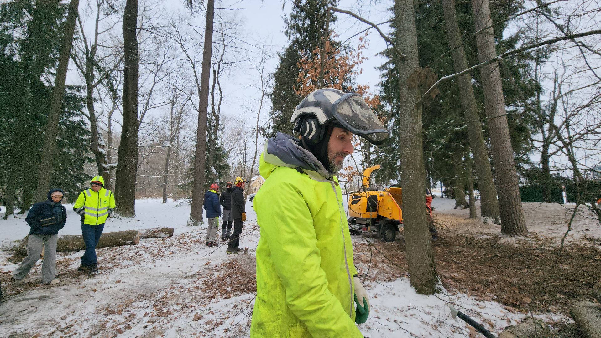 Арбористика, фестиваль арбористики, Пушкино, Городской округ Пушкинский, щёлково, экология, природа, Мураново, усадьба Мураново,