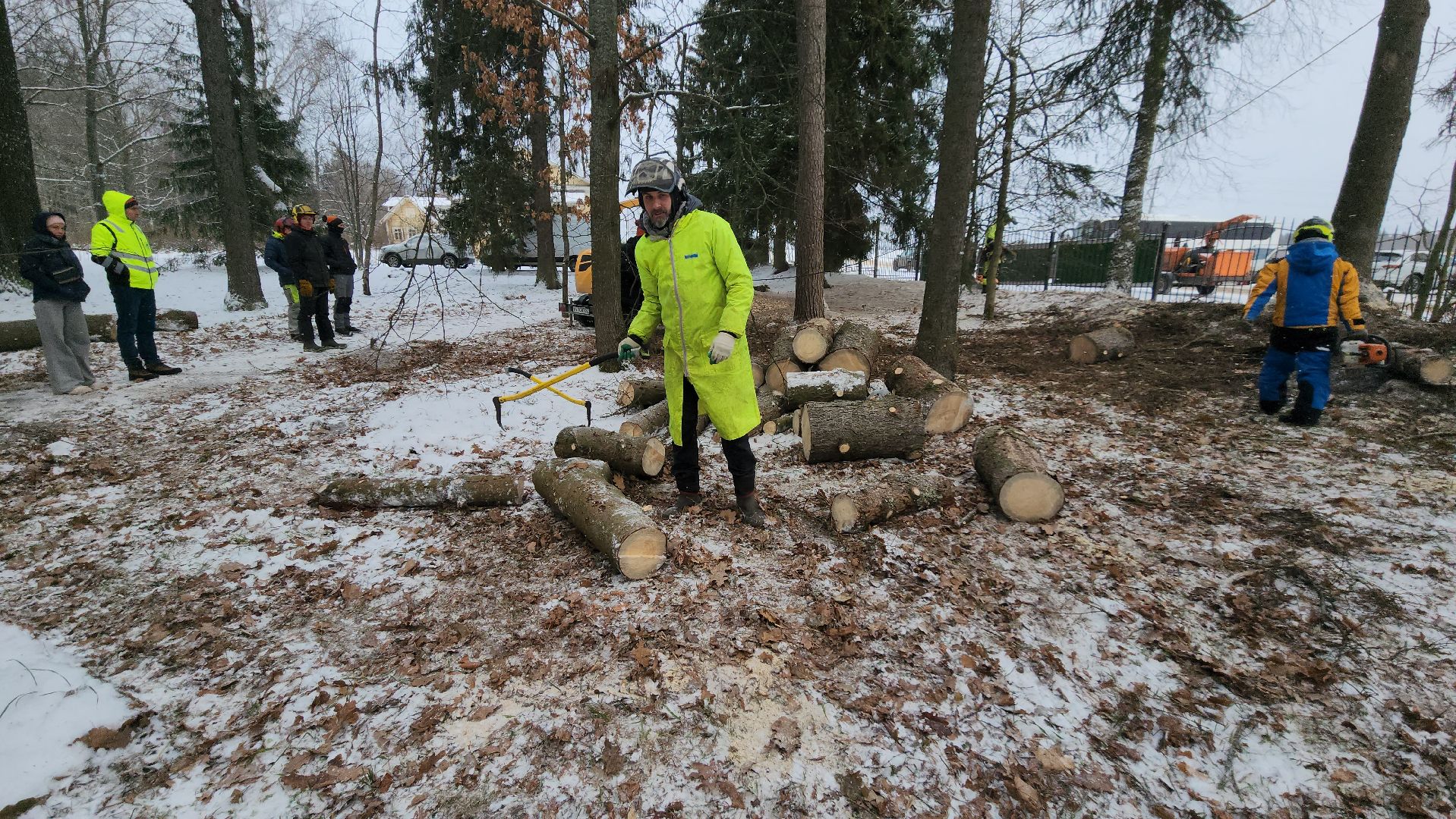 Арбористика, фестиваль арбористики, Пушкино, Городской округ Пушкинский, щёлково, экология, природа, Мураново, усадьба Мураново,