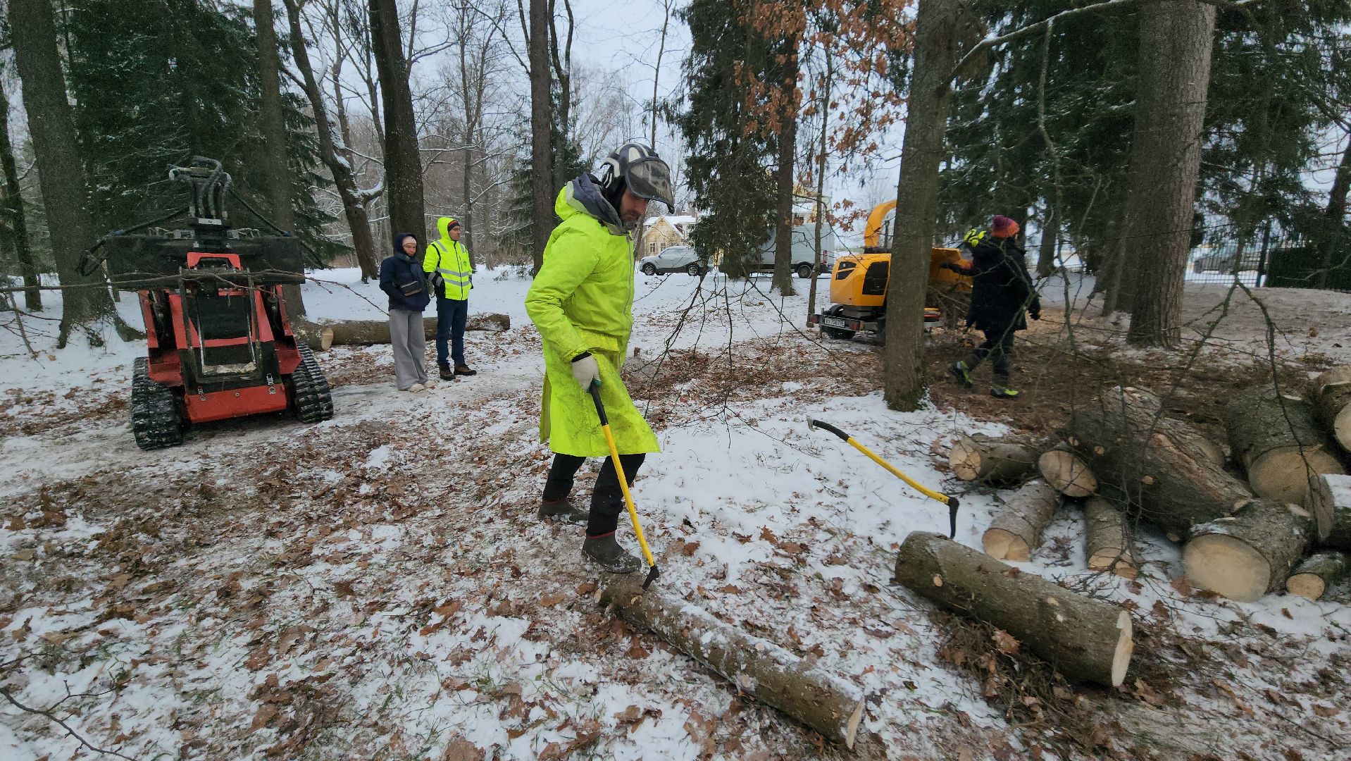 Арбористика, фестиваль арбористики, Пушкино, Городской округ Пушкинский, щёлково, экология, природа, Мураново, усадьба Мураново,