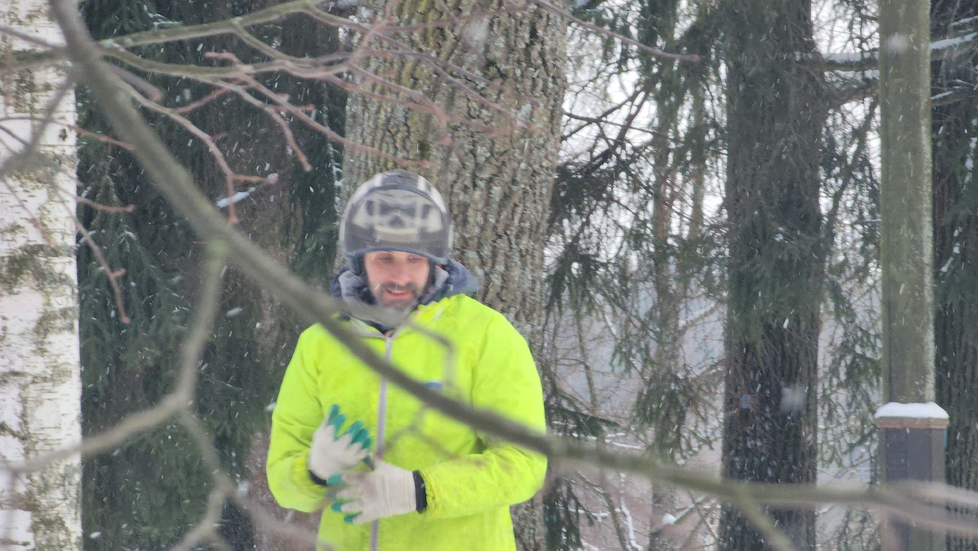 Арбористика, фестиваль арбористики, Пушкино, Городской округ Пушкинский, щёлково, экология, природа, Мураново, усадьба Мураново,