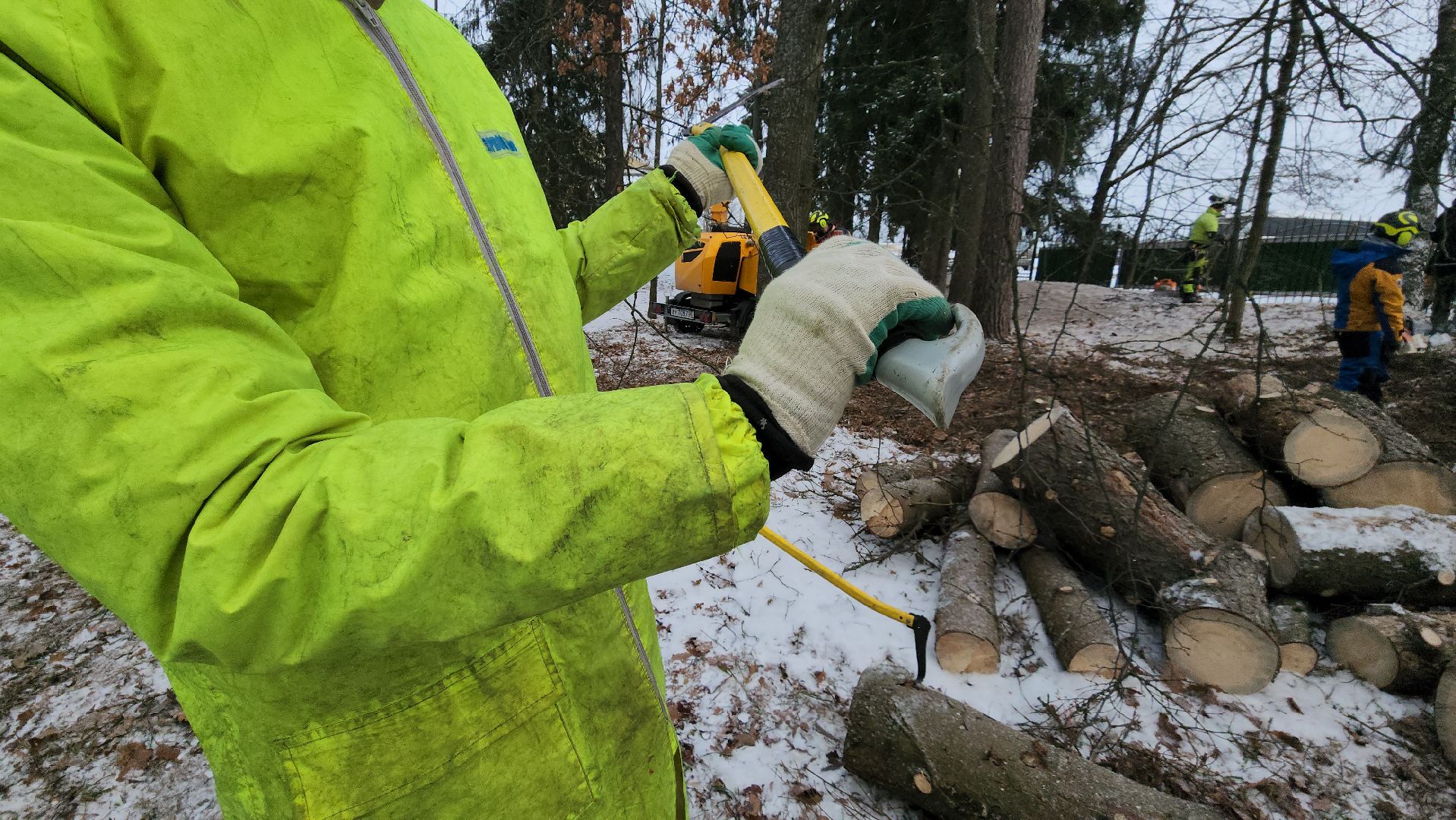 Арбористика, фестиваль арбористики, Пушкино, Городской округ Пушкинский, щёлково, экология, природа, Мураново, усадьба Мураново,