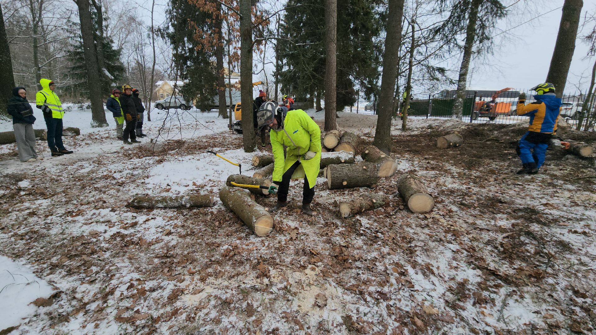 Арбористика, фестиваль арбористики, Пушкино, Городской округ Пушкинский, щёлково, экология, природа, Мураново, усадьба Мураново,