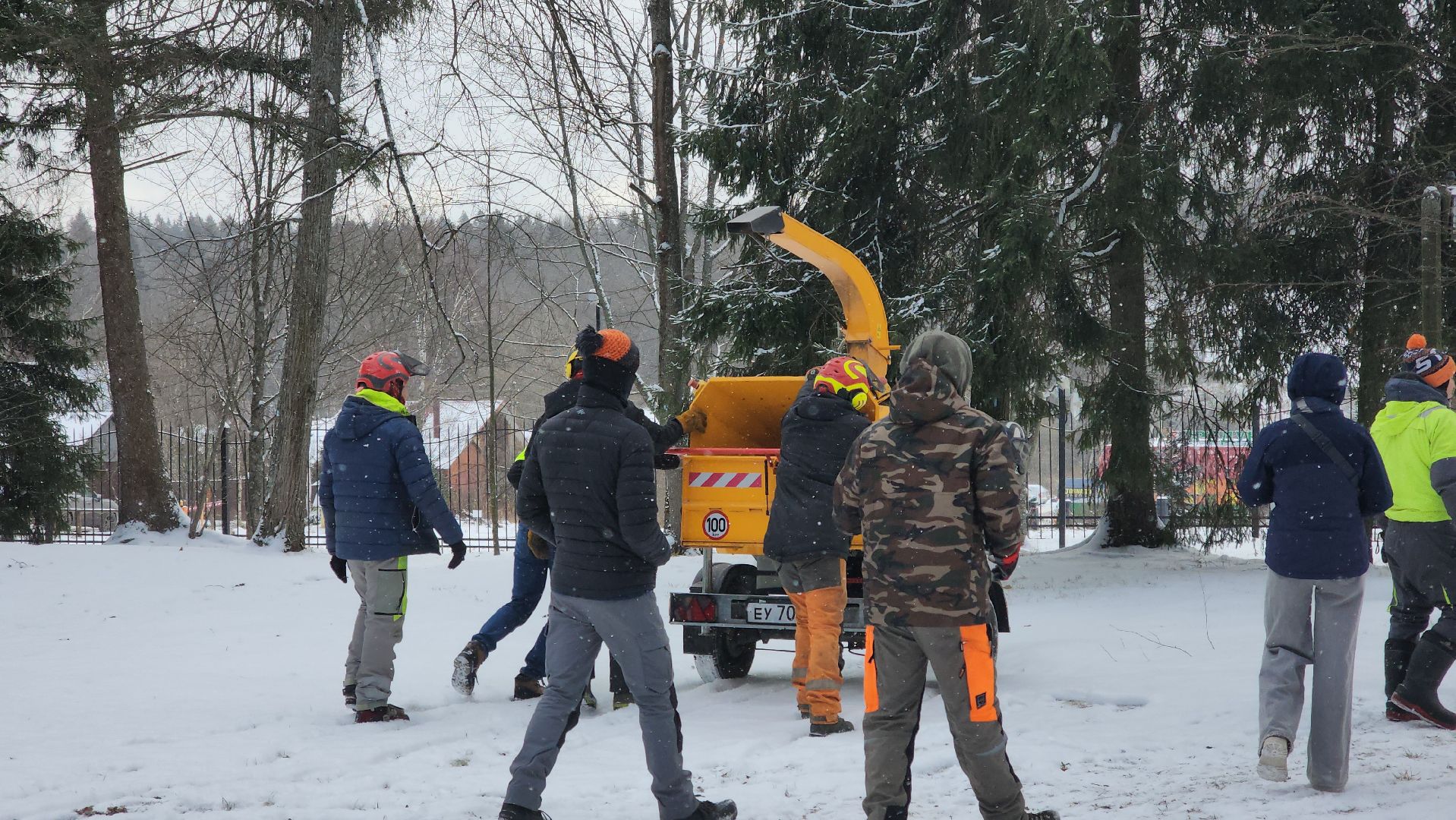 Арбористика, фестиваль арбористики, Пушкино, Городской округ Пушкинский, щёлково, экология, природа, Мураново, усадьба Мураново,