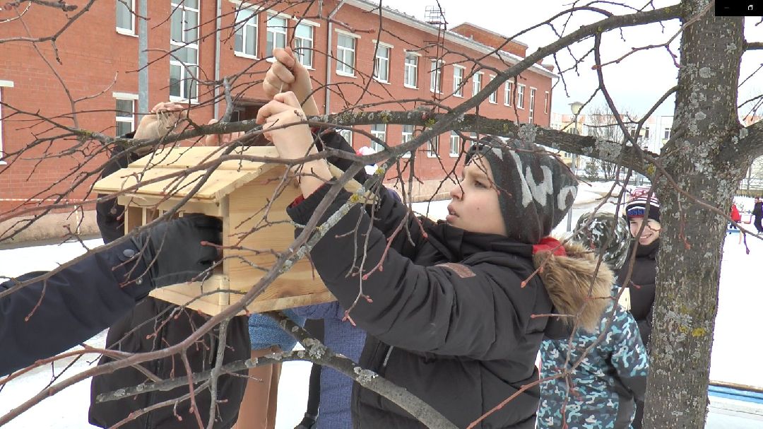 Дмитров, образование