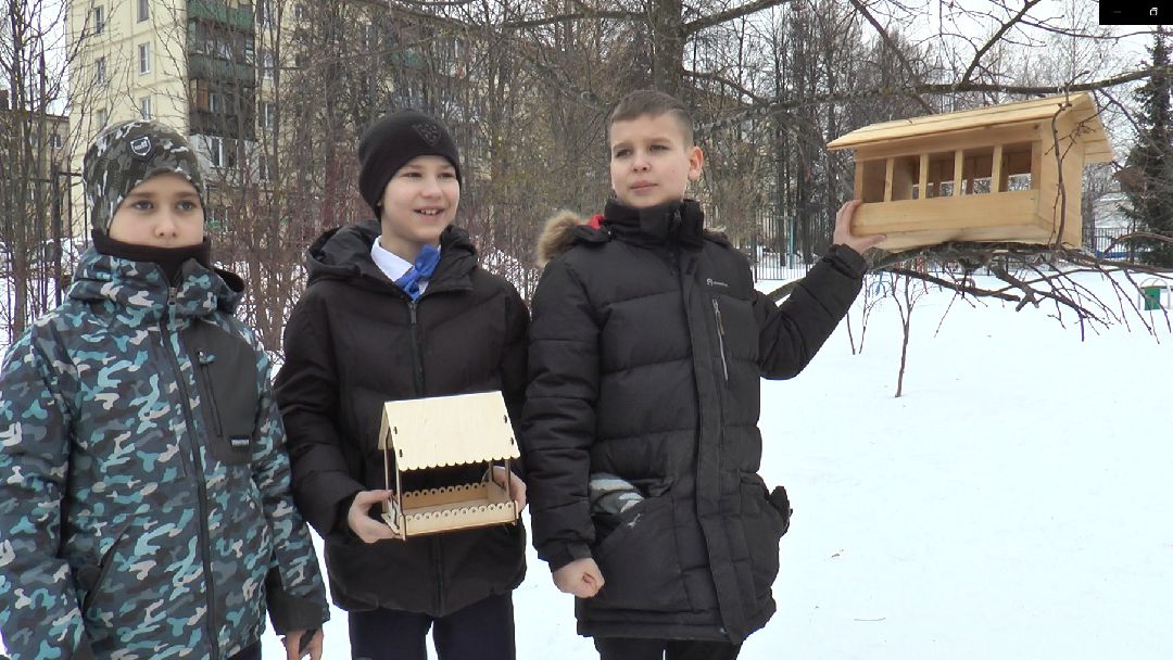 Дмитров, образование