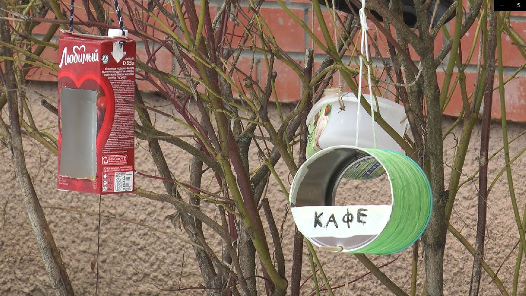 Дмитров, образование