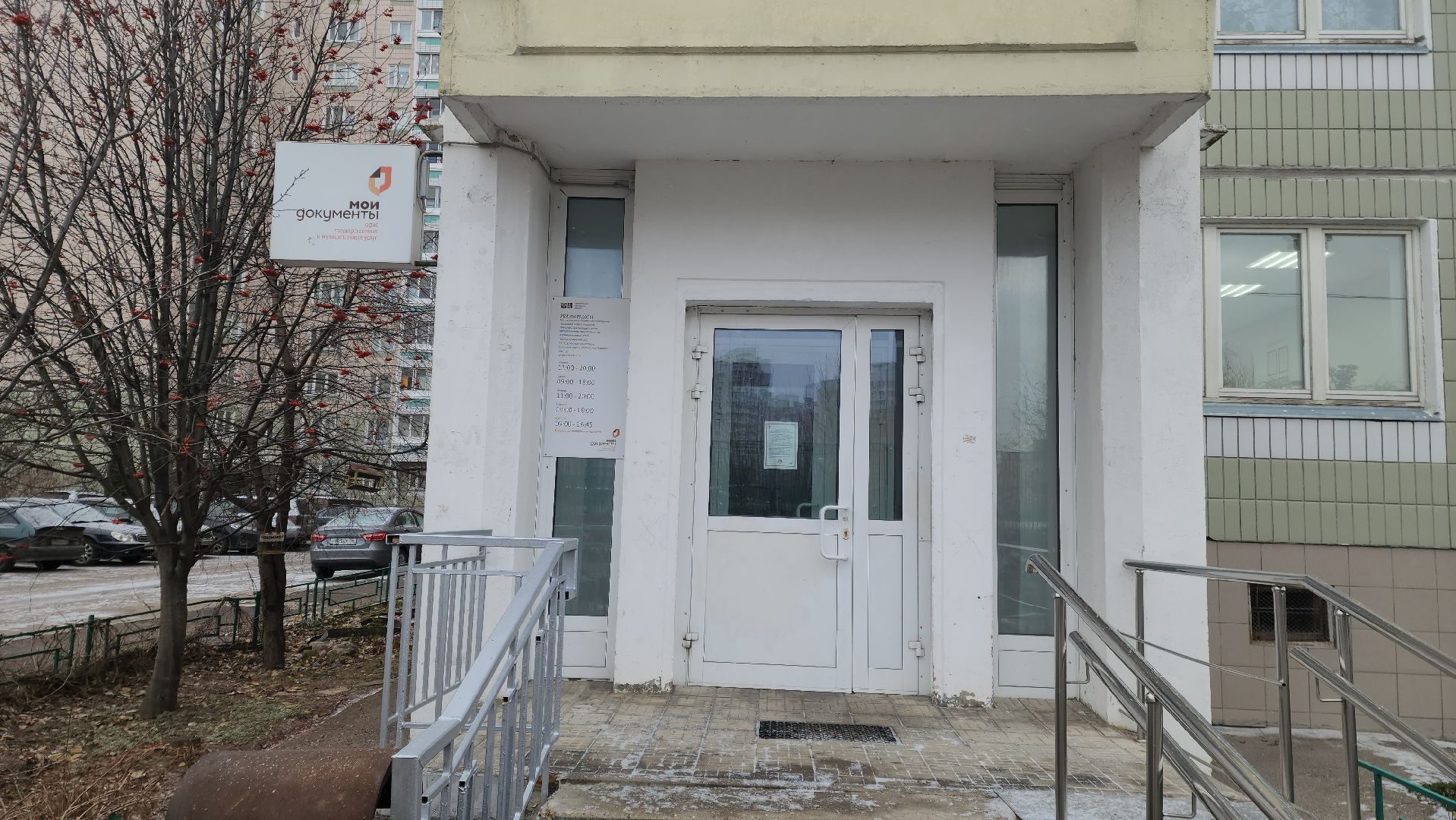 Подольск, Реестр домашних животных, Собака, Питомцы, чипирование, МФЦ,