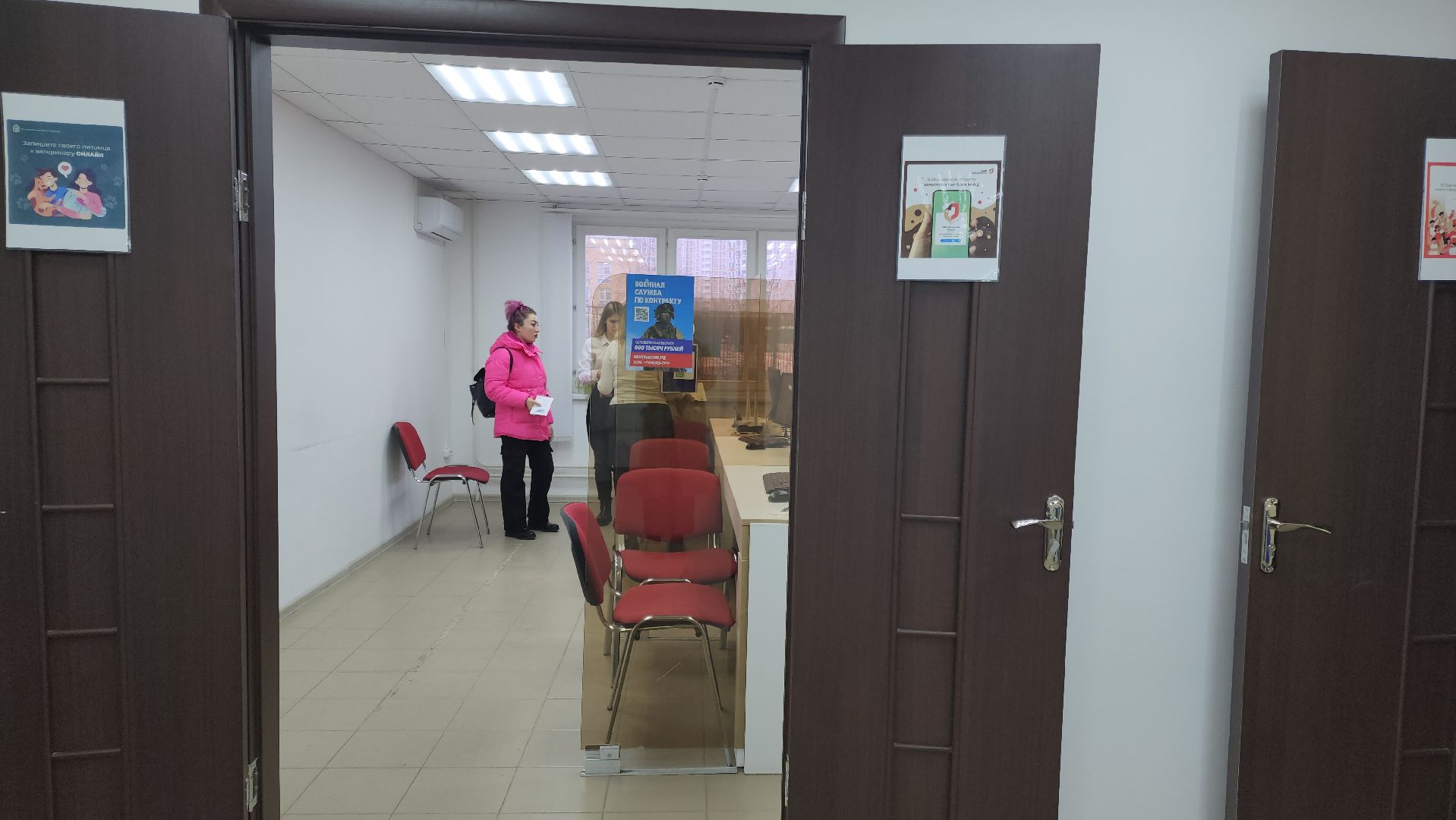 Подольск, Реестр домашних животных, Собака, Питомцы, чипирование, МФЦ,