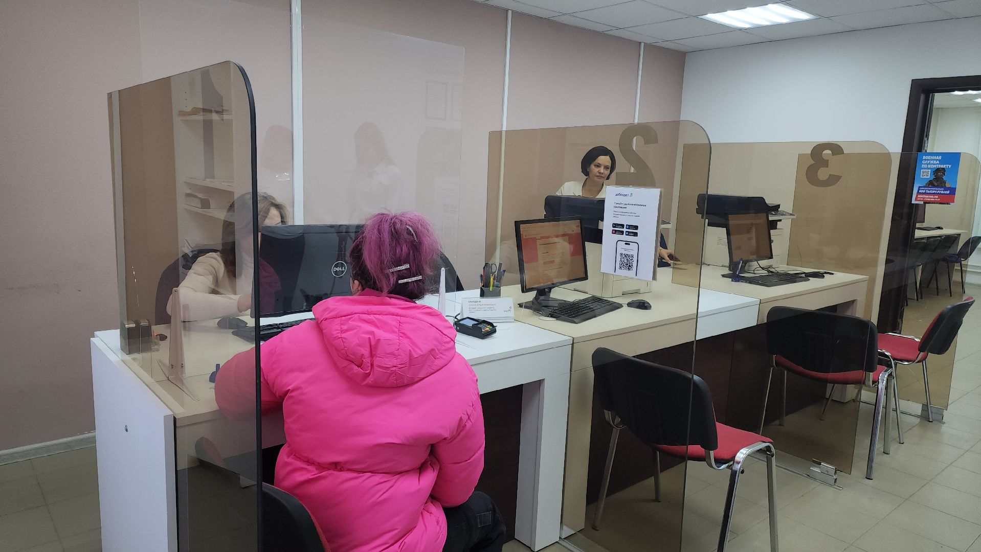 Подольск, Реестр домашних животных, Собака, Питомцы, чипирование, МФЦ,