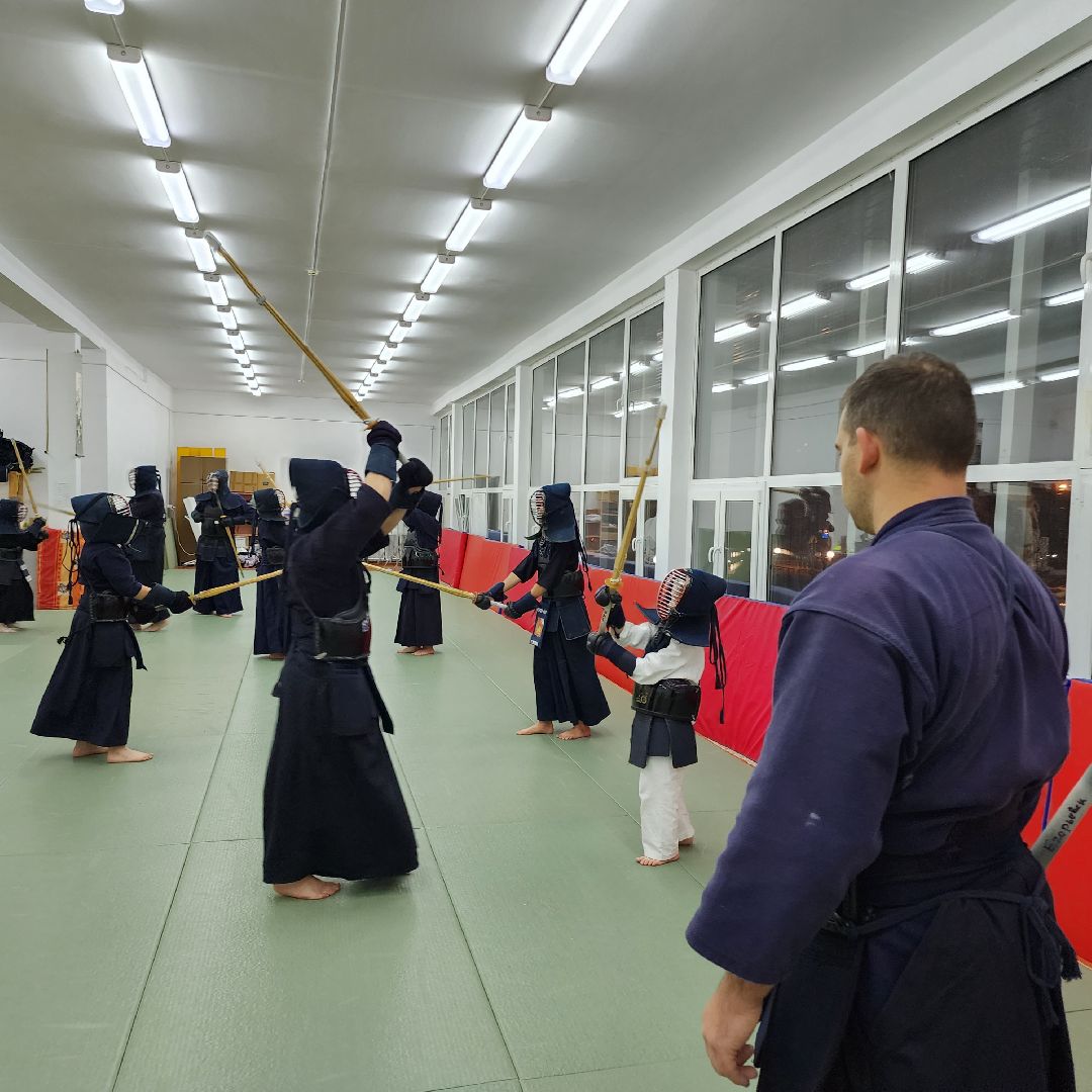 кендо, егорьевск, подмосковье, московская область,