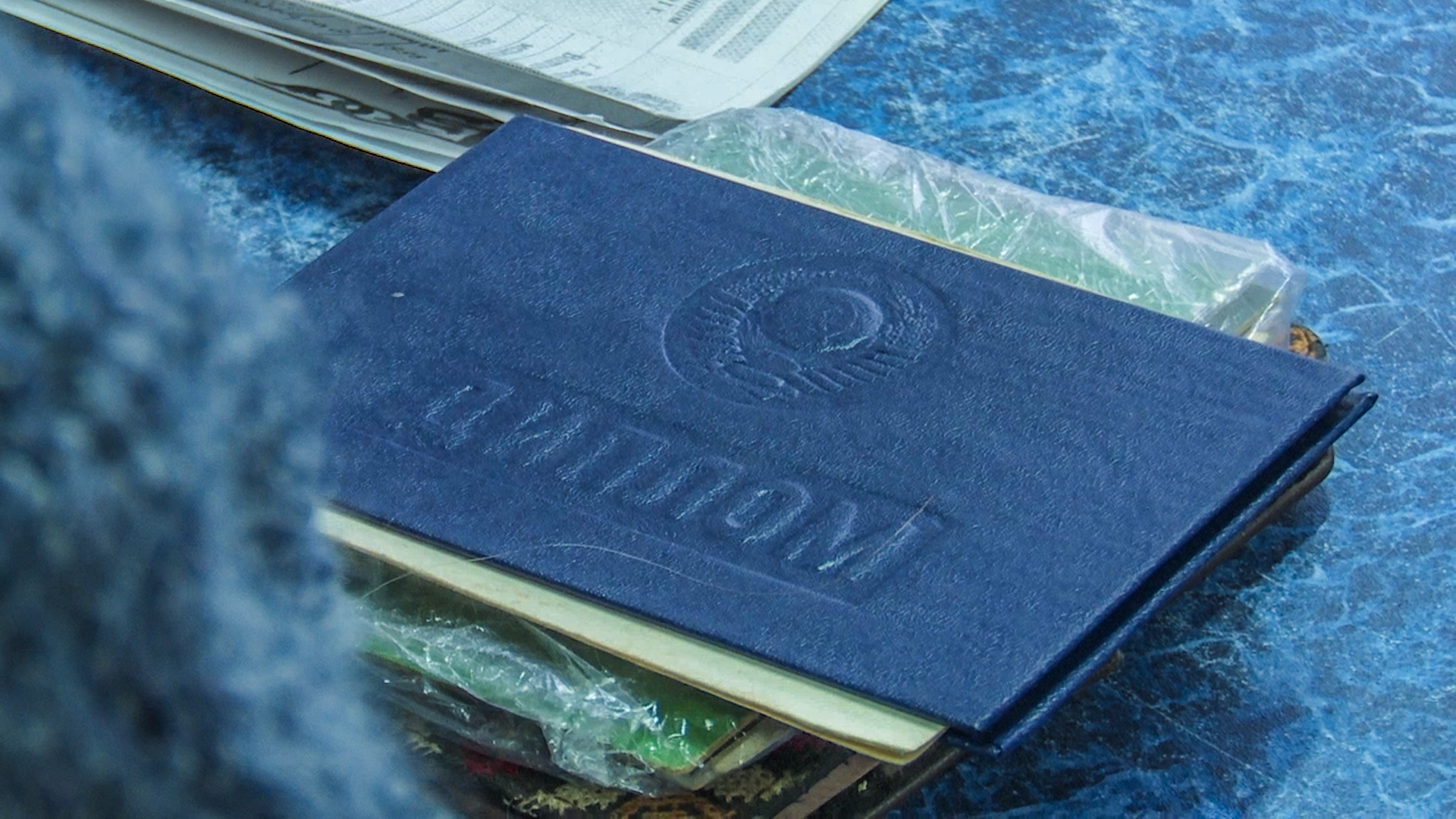 Клин, беженцы, общество, люди, Сектор Газа,