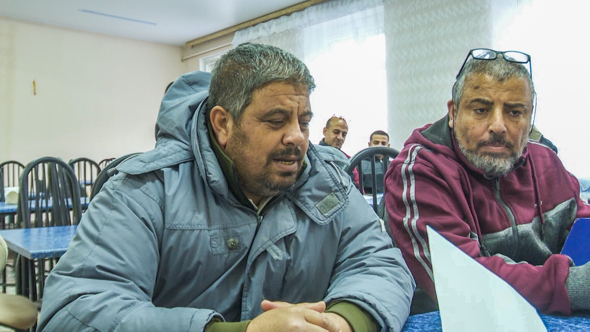 Клин, беженцы, общество, люди, Сектор Газа,