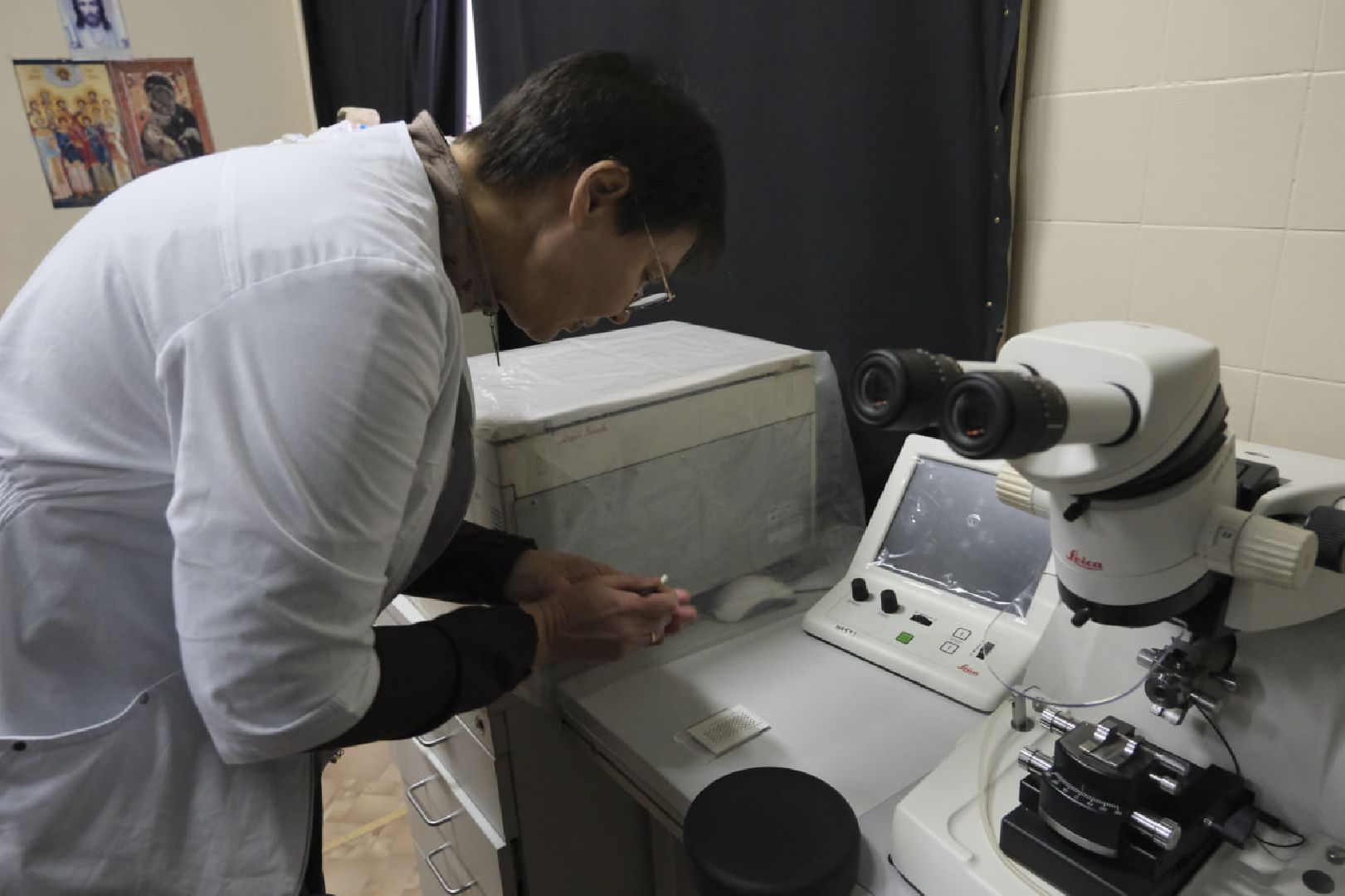 пущино, космос, биология, наука,