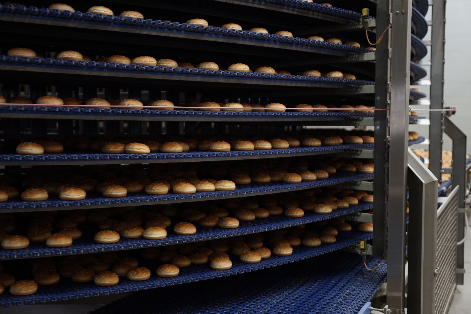 Егорьевск, бизнес, булочки, багеты, бургеры, хот-дог,