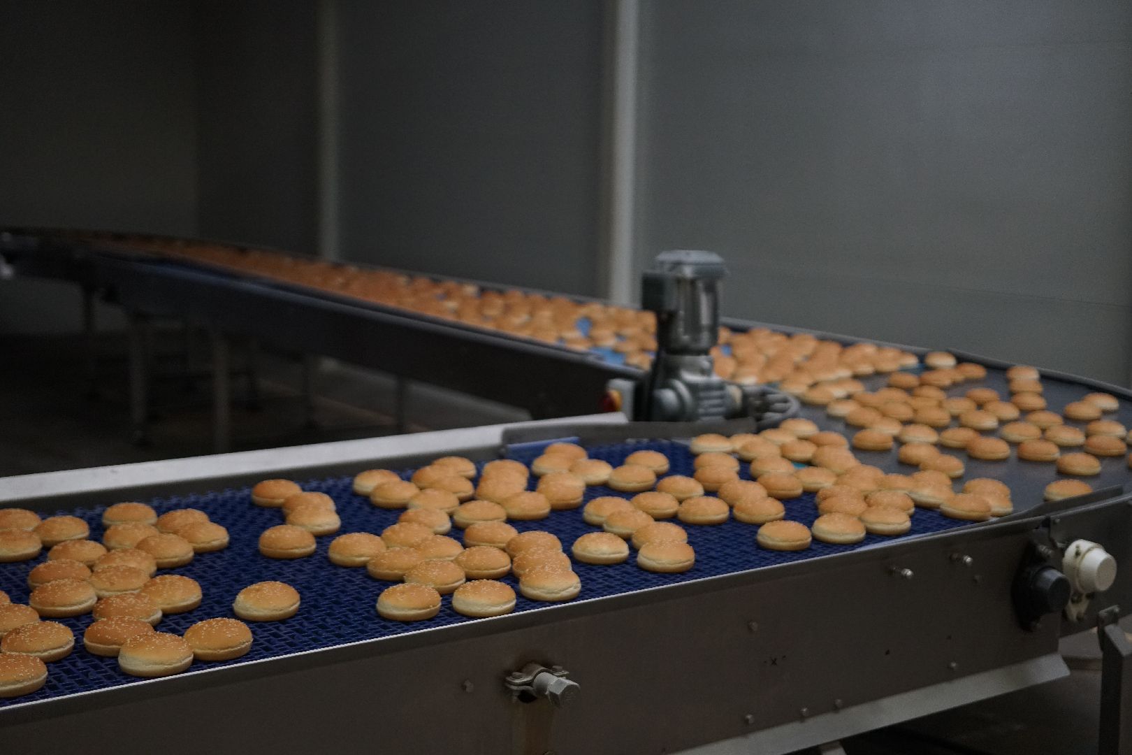 Егорьевск, бизнес, булочки, багеты, бургеры, хот-дог,