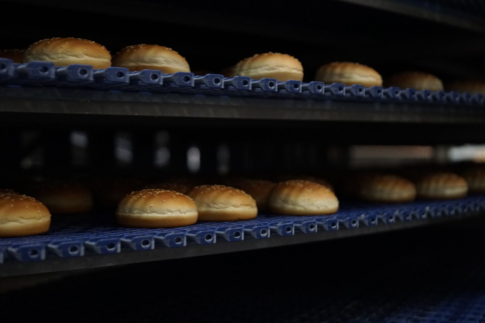 Егорьевск, бизнес, булочки, багеты, бургеры, хот-дог,