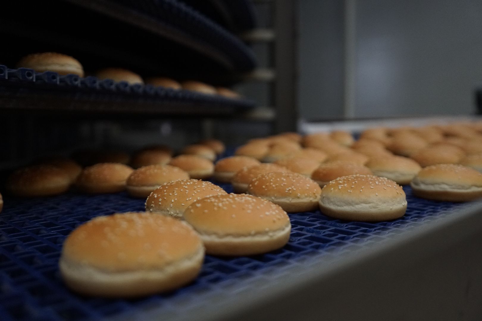 Егорьевск, бизнес, булочки, багеты, бургеры, хот-дог,