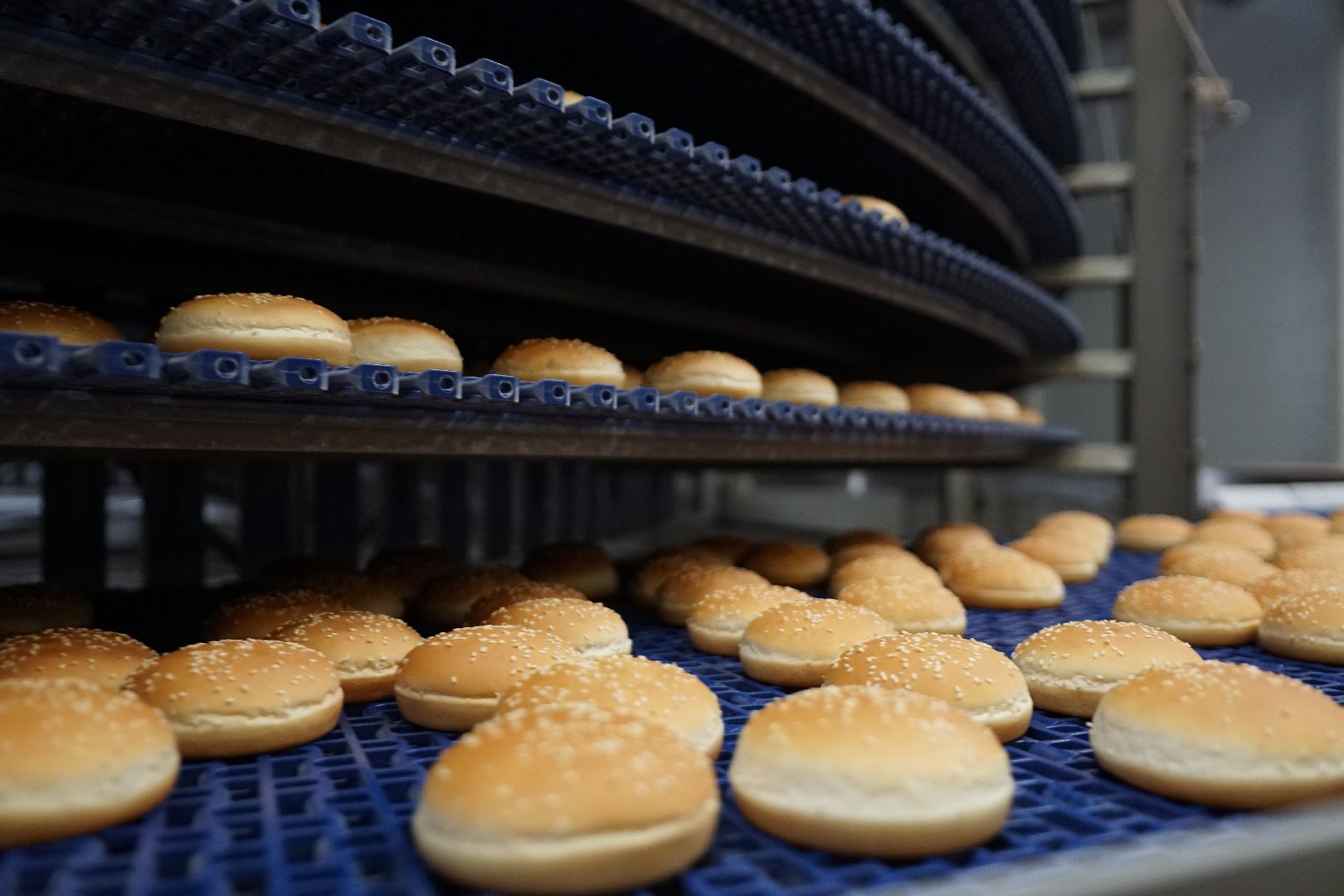 Егорьевск, бизнес, булочки, багеты, бургеры, хот-дог,